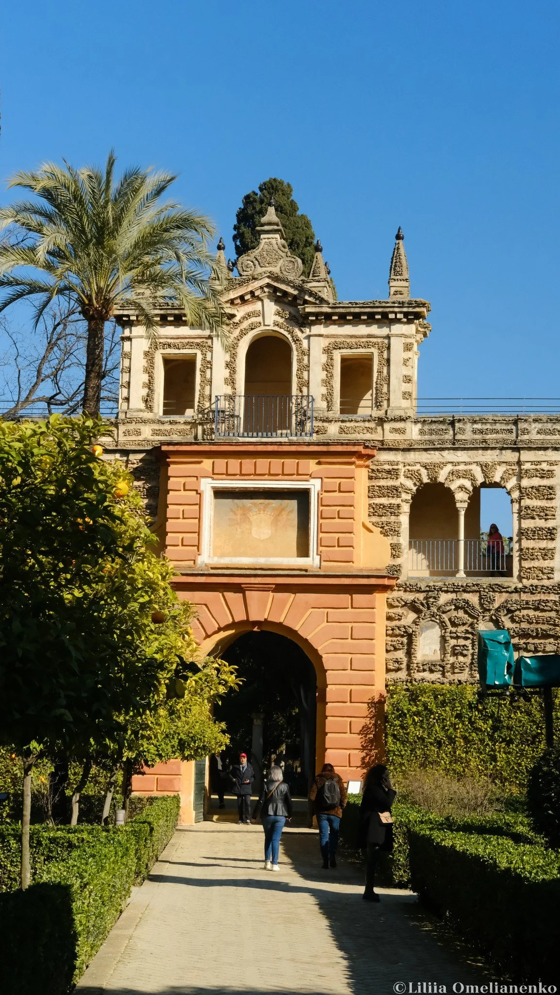 DSCF0418.jpg