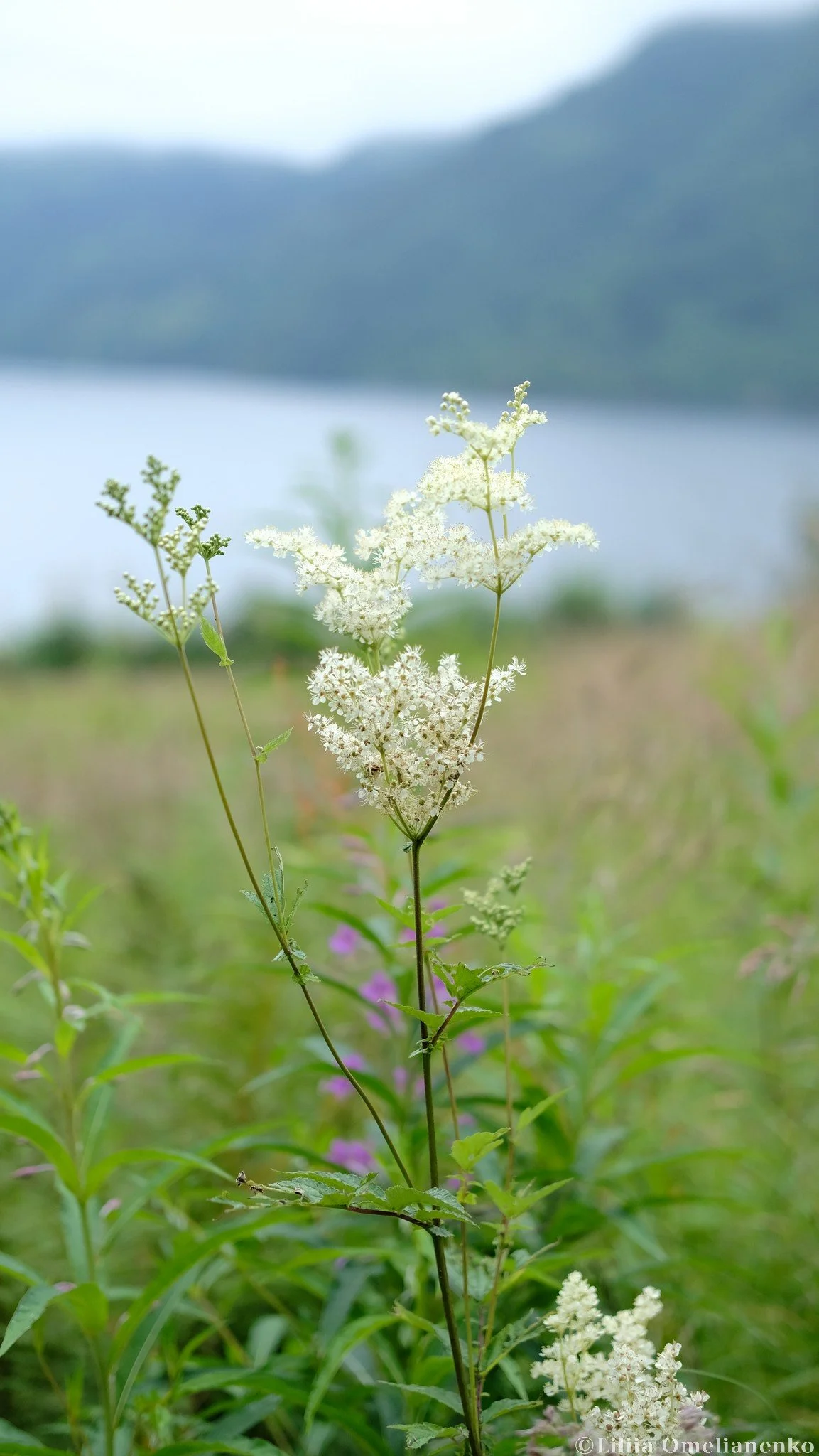 DSCF5723.jpg