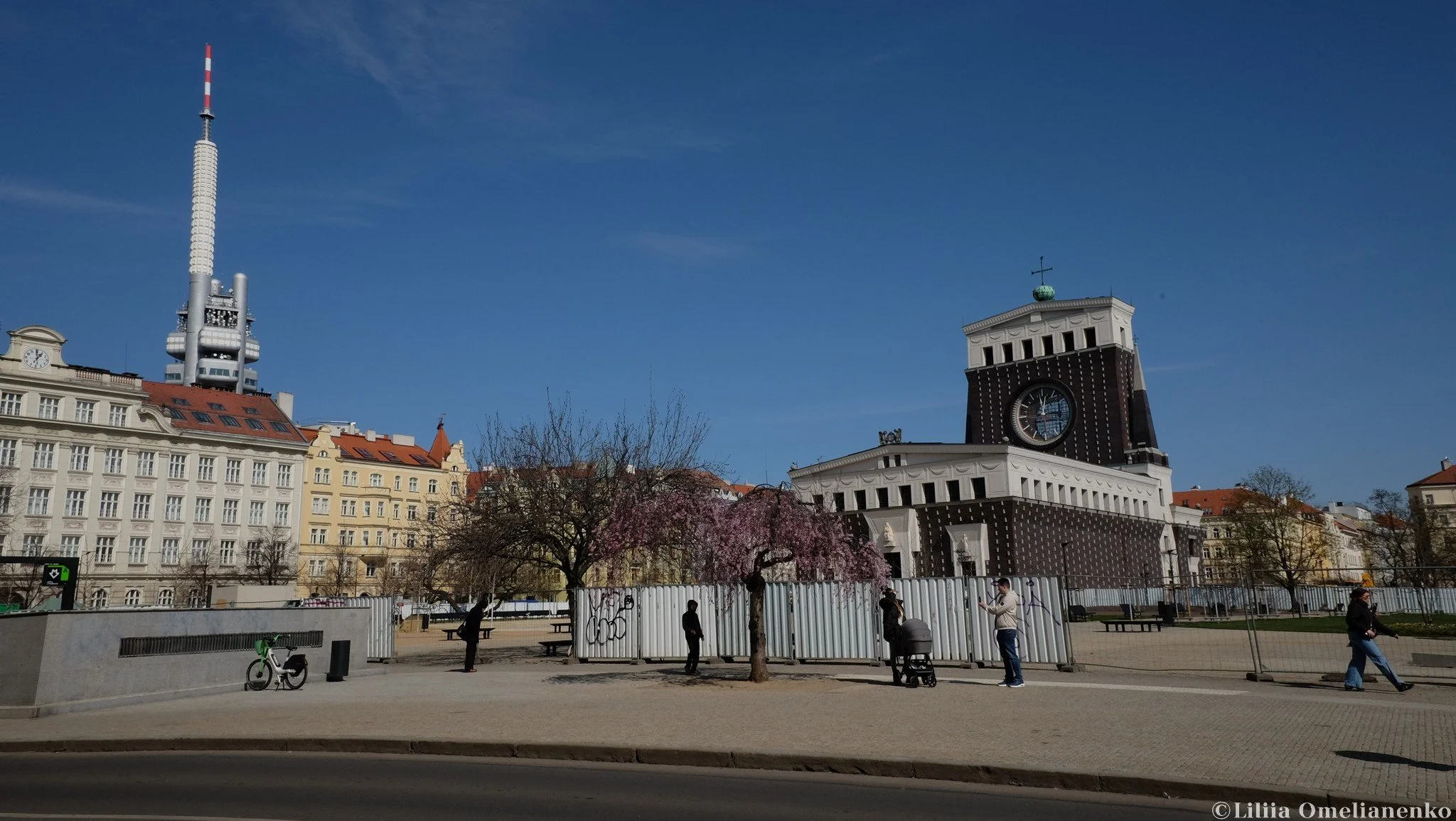 DSCF4196.jpg