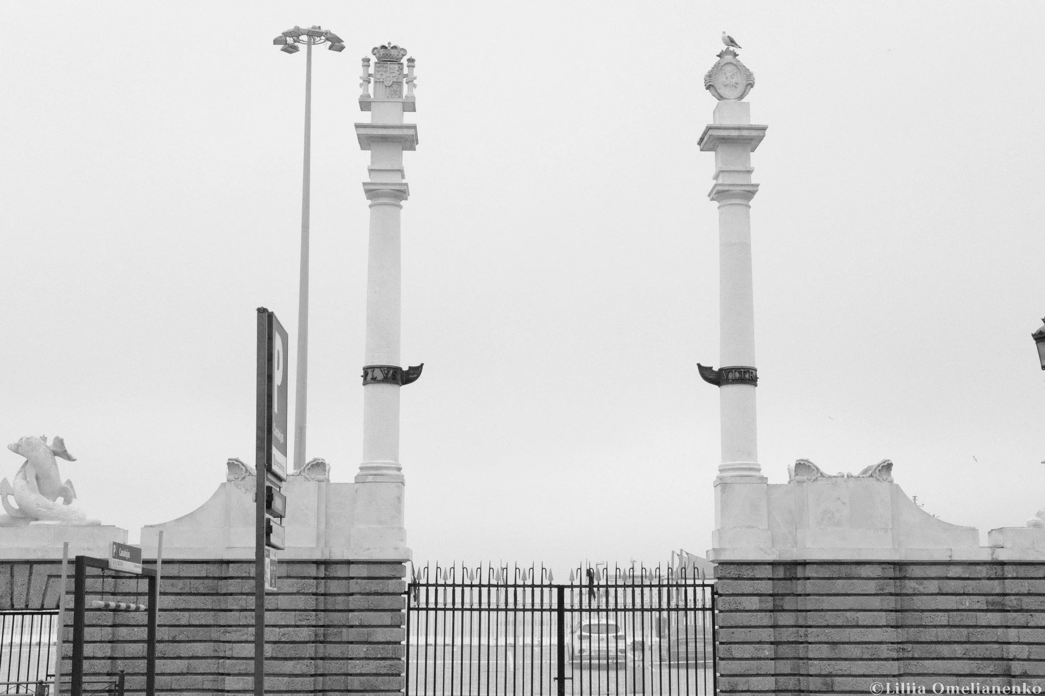 DSCF8969.jpg