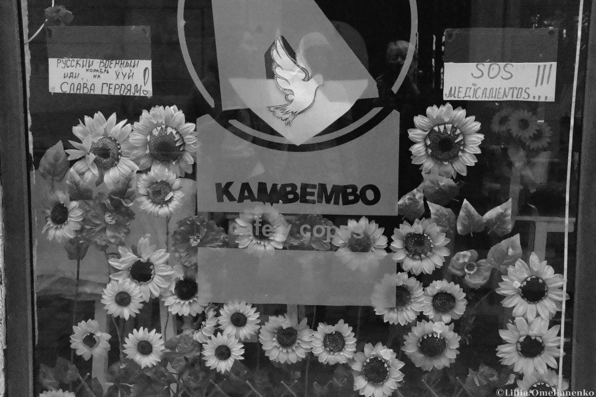 DSCF9093.jpg