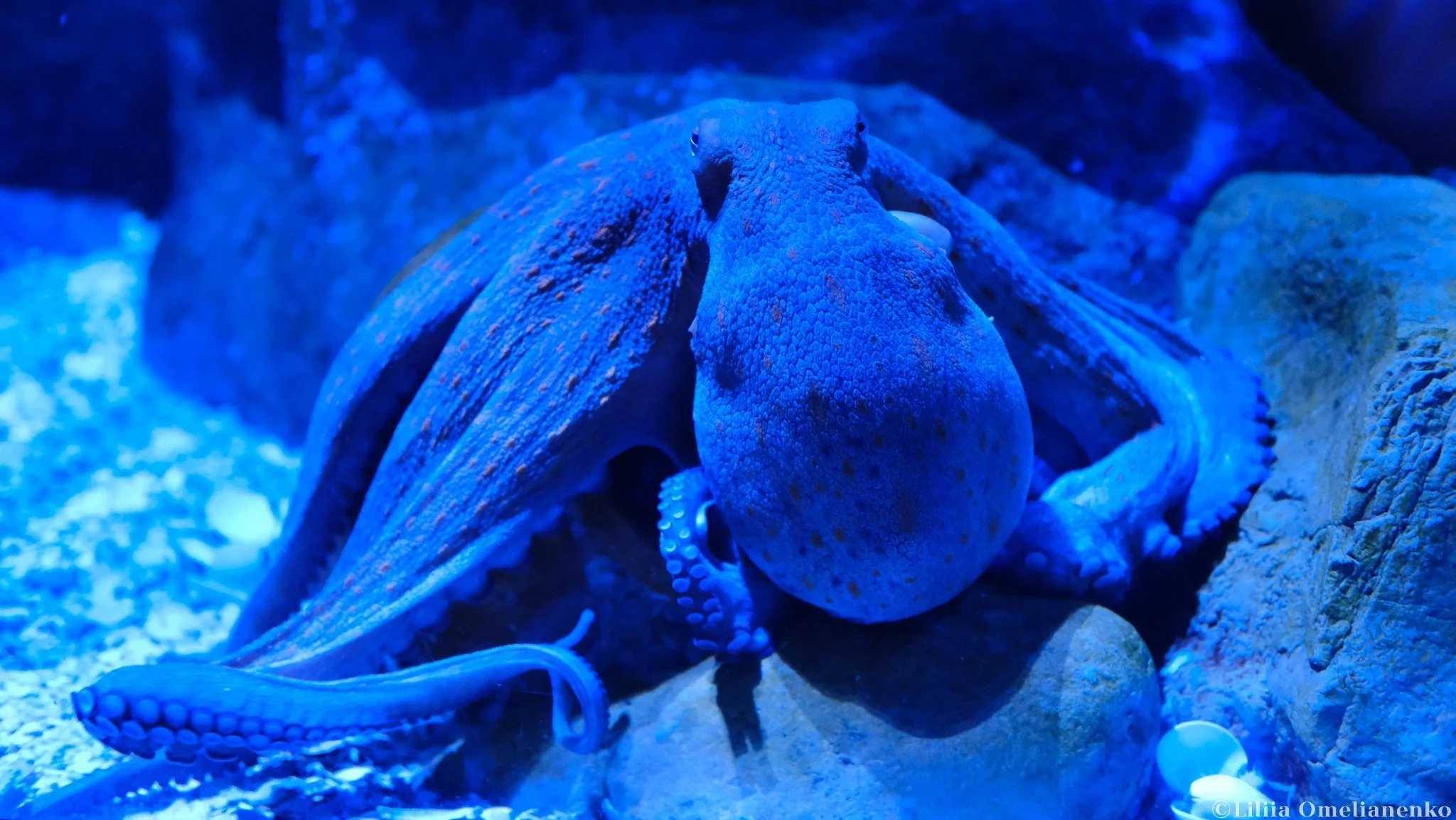 DSCF9753.jpg