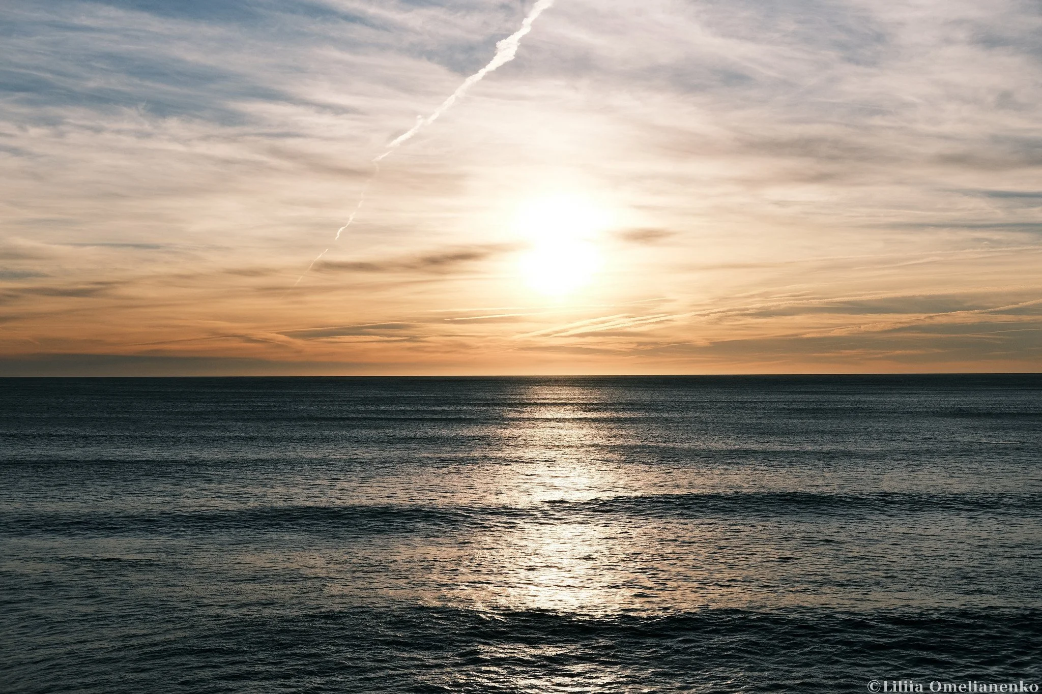 DSCF9300.jpg