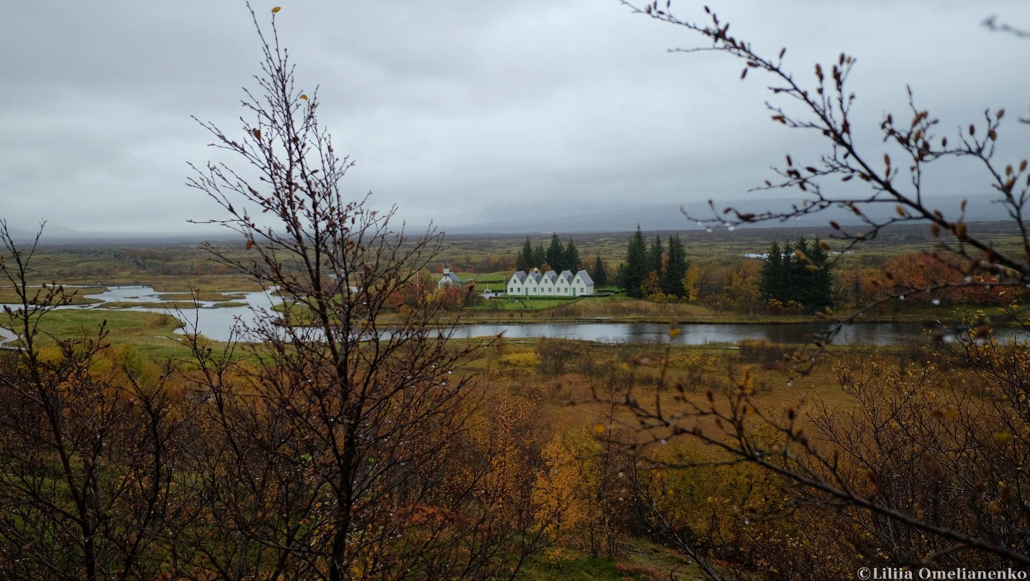 DSCF3272.jpg
