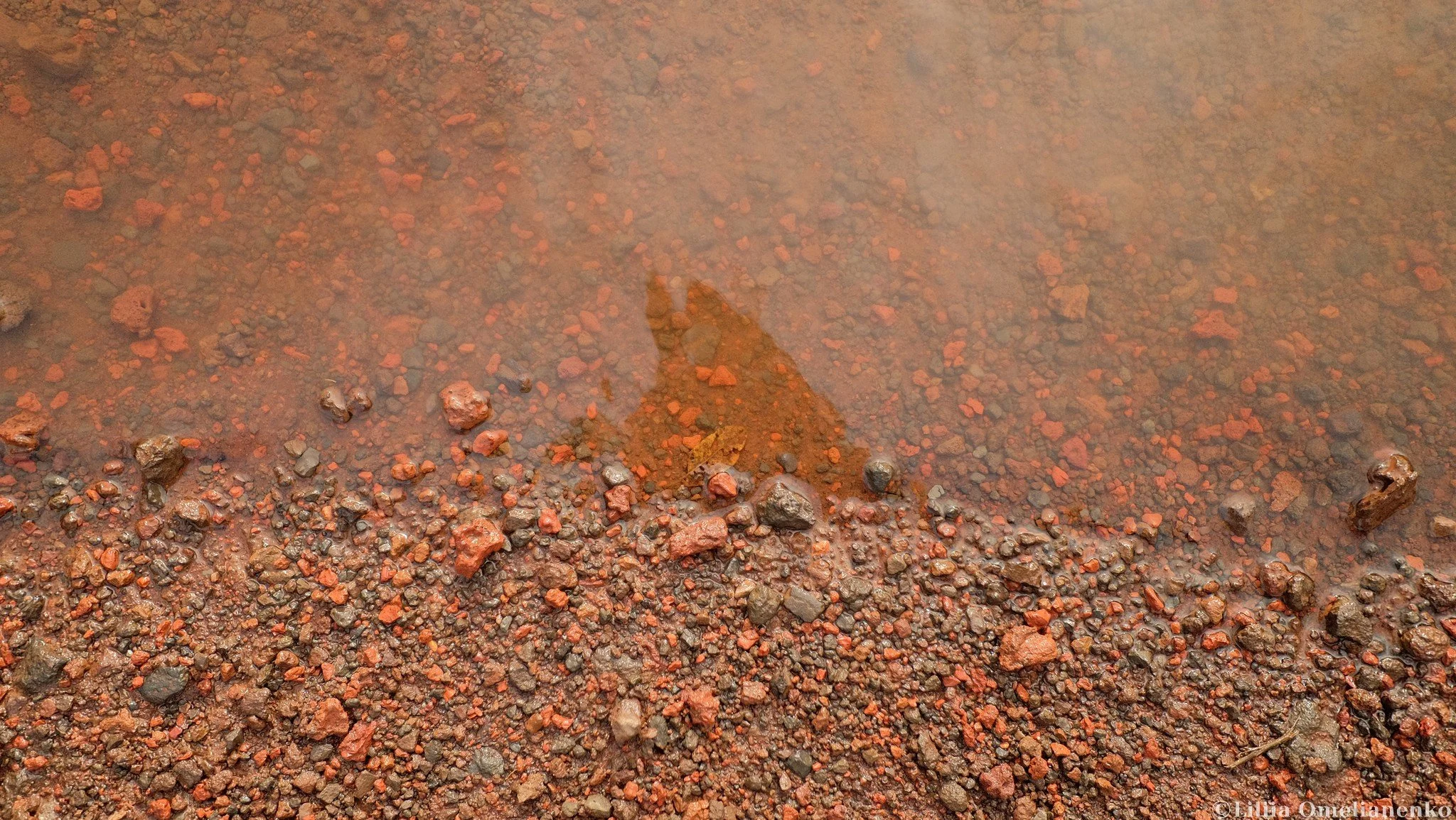 DSCF3523.jpg