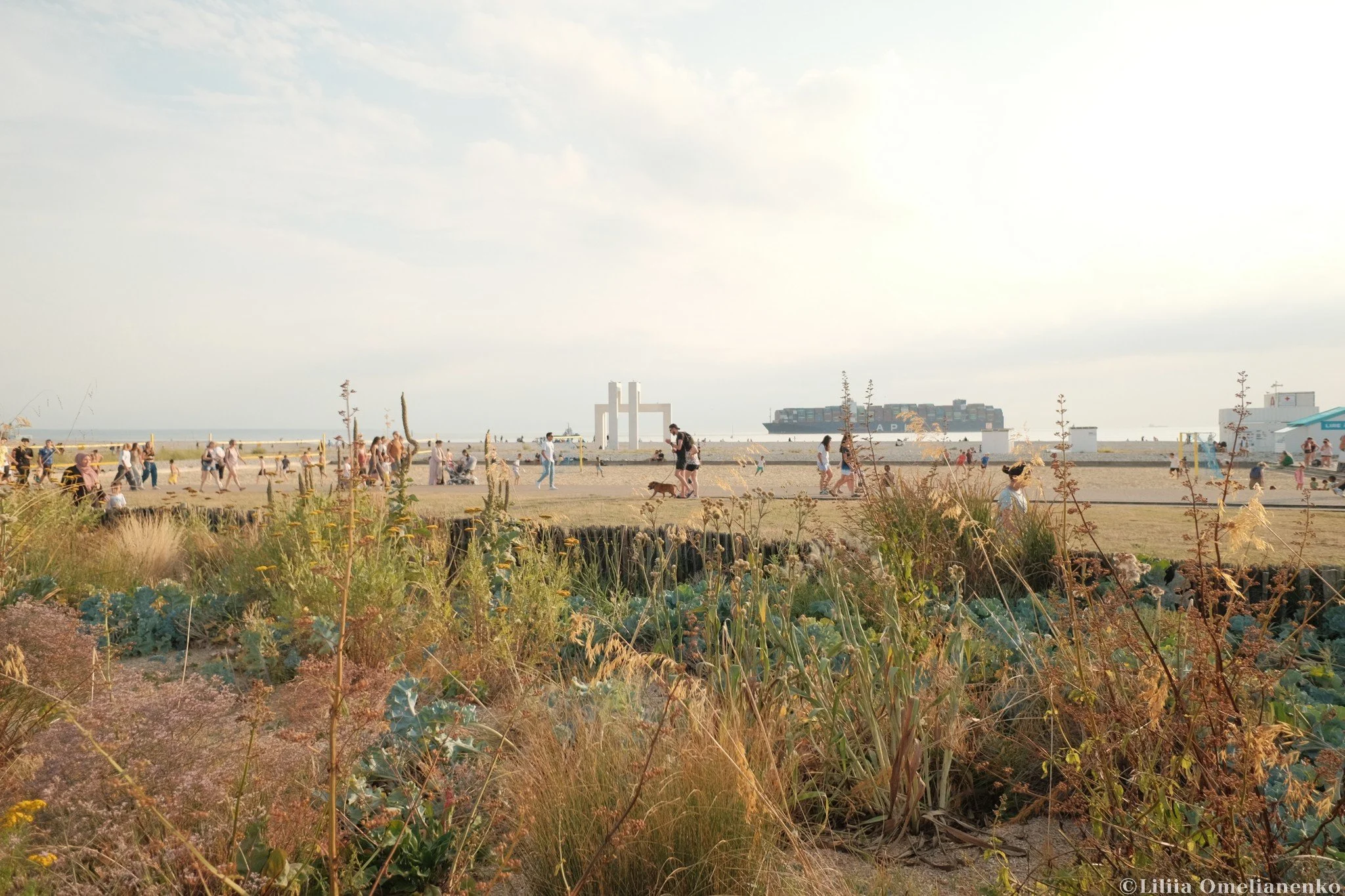 DSCF7697.jpg