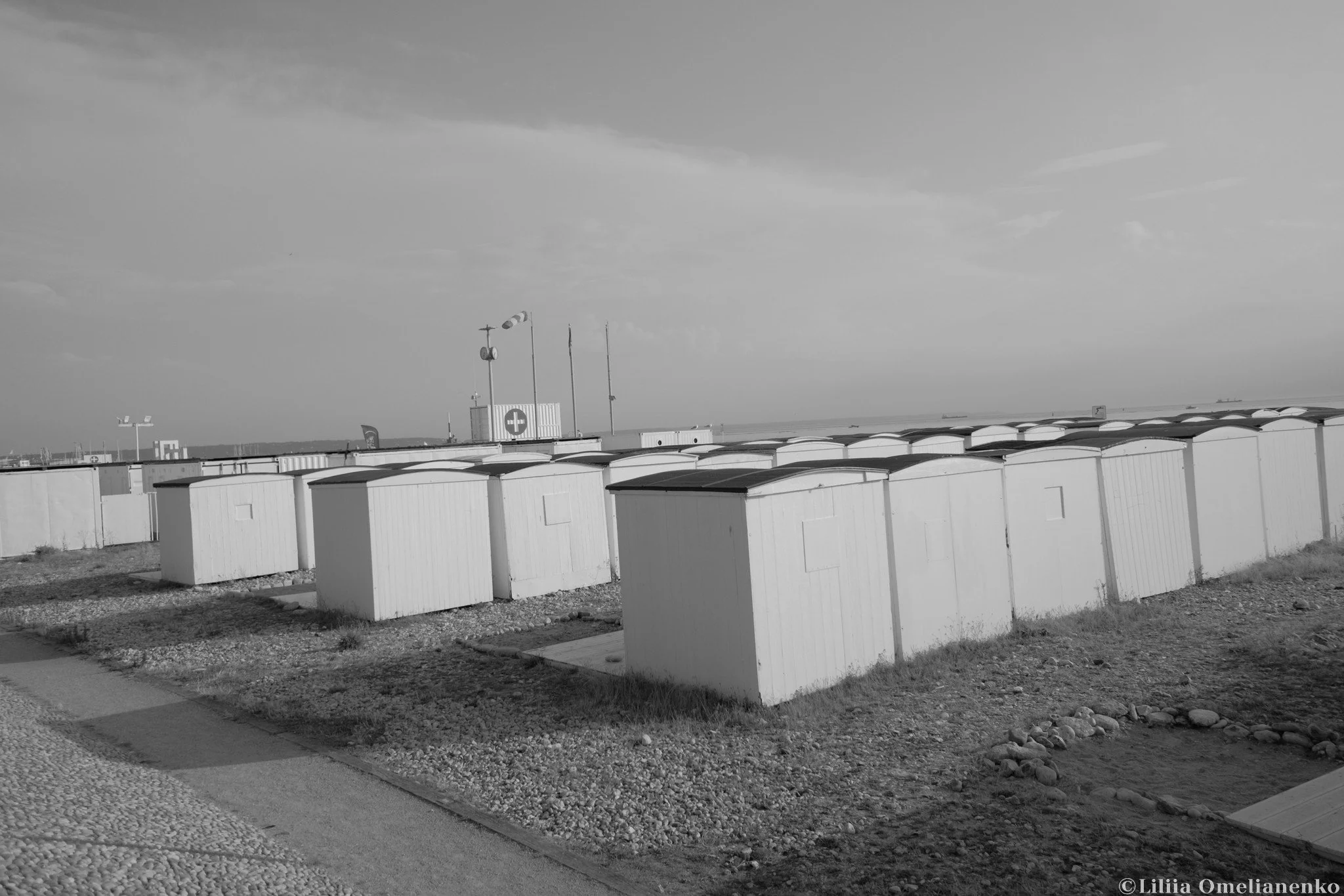 DSCF7706.jpg