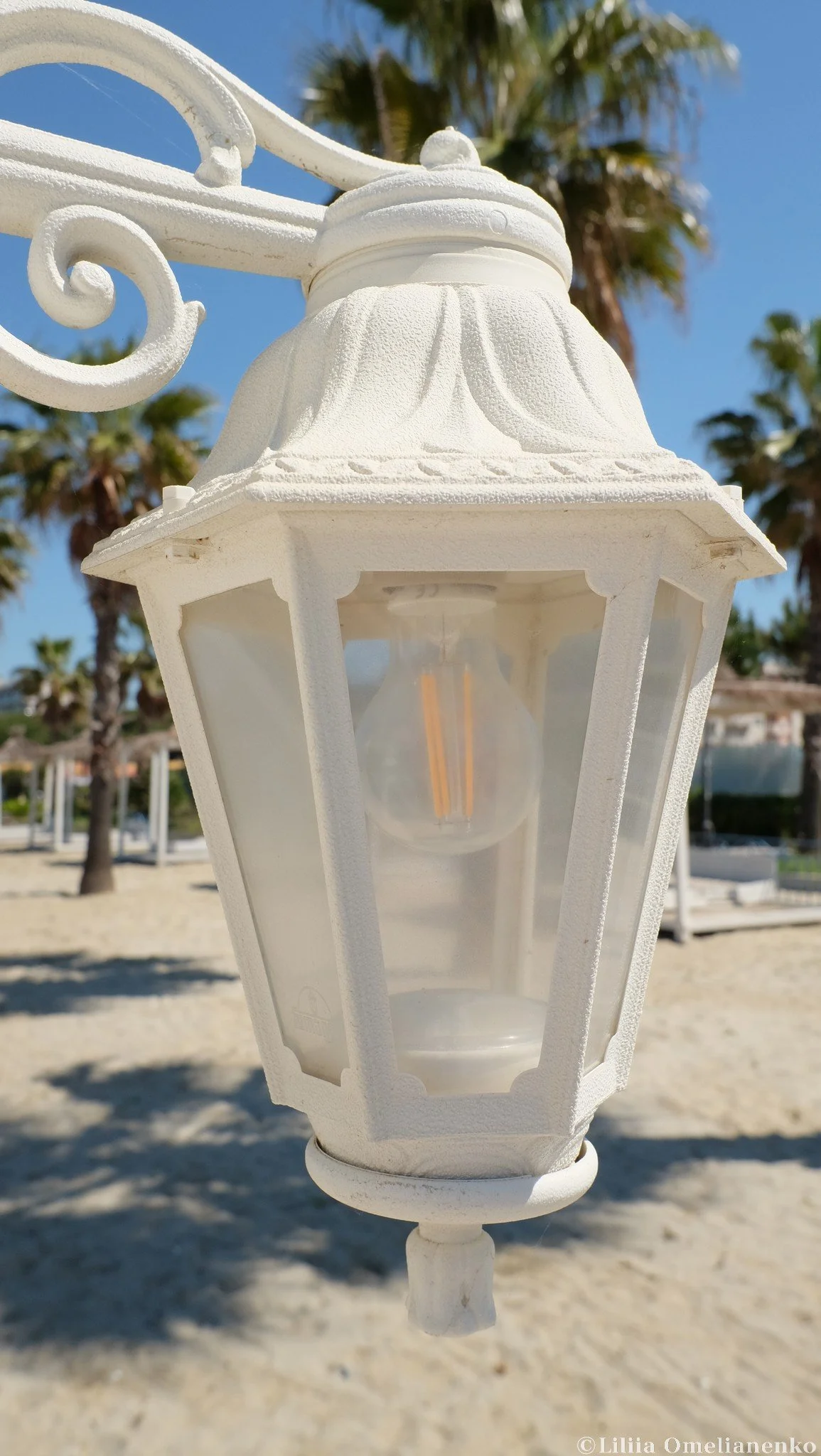 DSCF4414.jpg