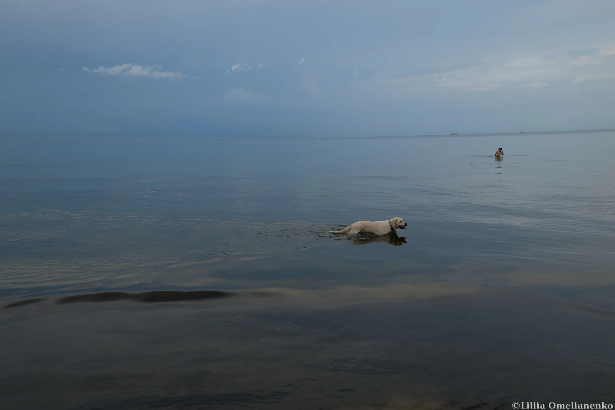 DSCF7181.jpg