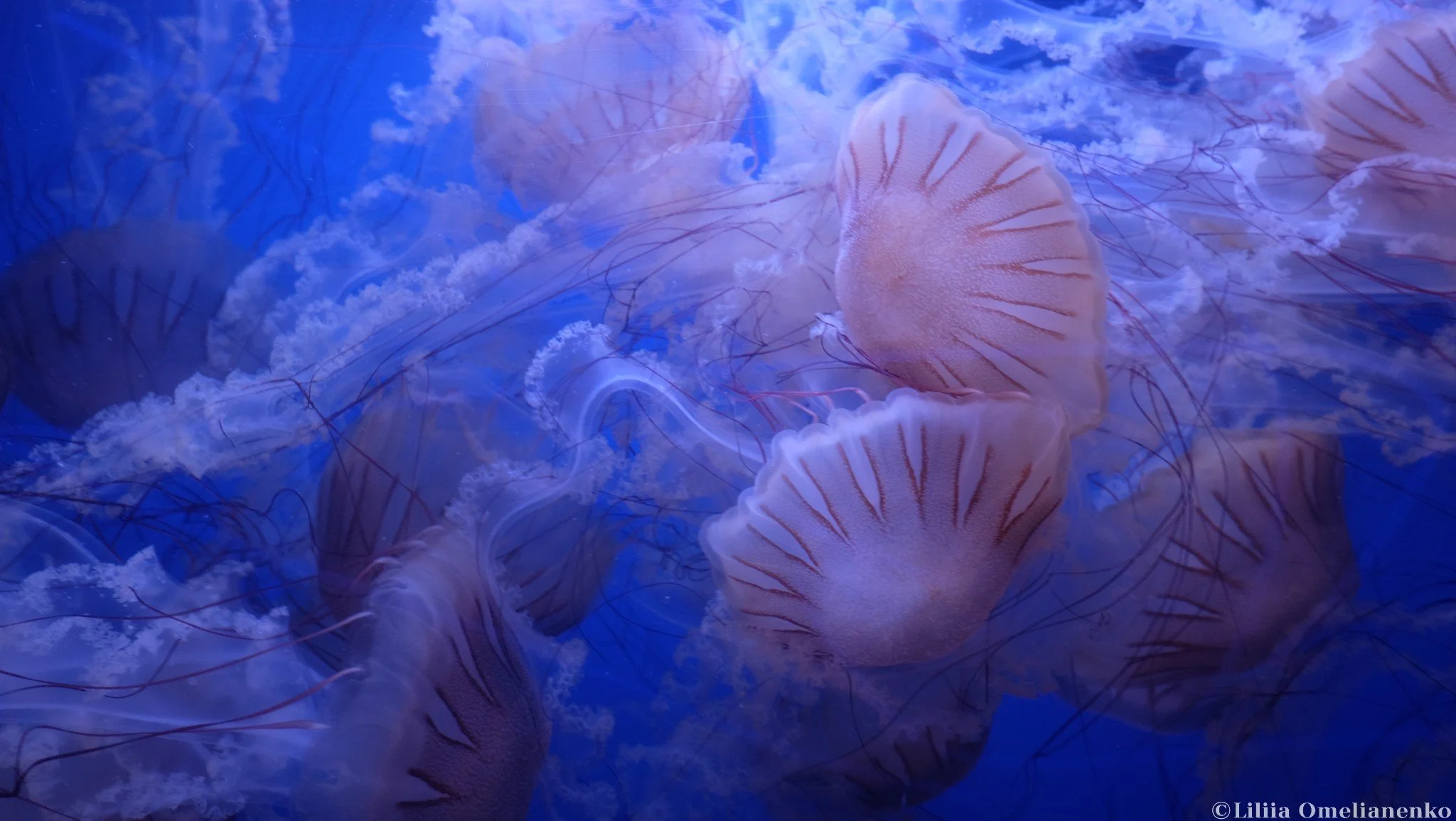 DSCF1754.jpg