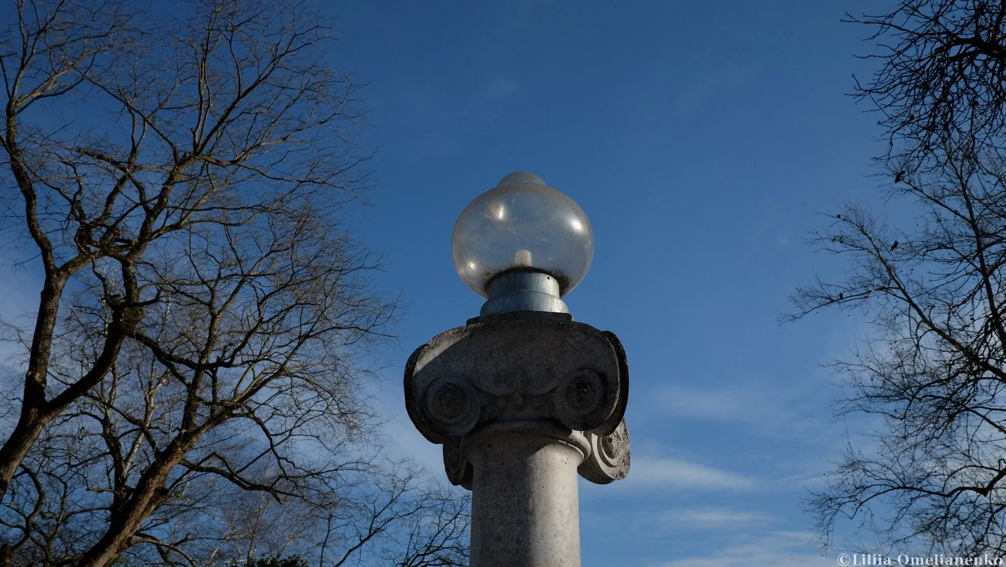 DSCF3916.jpg