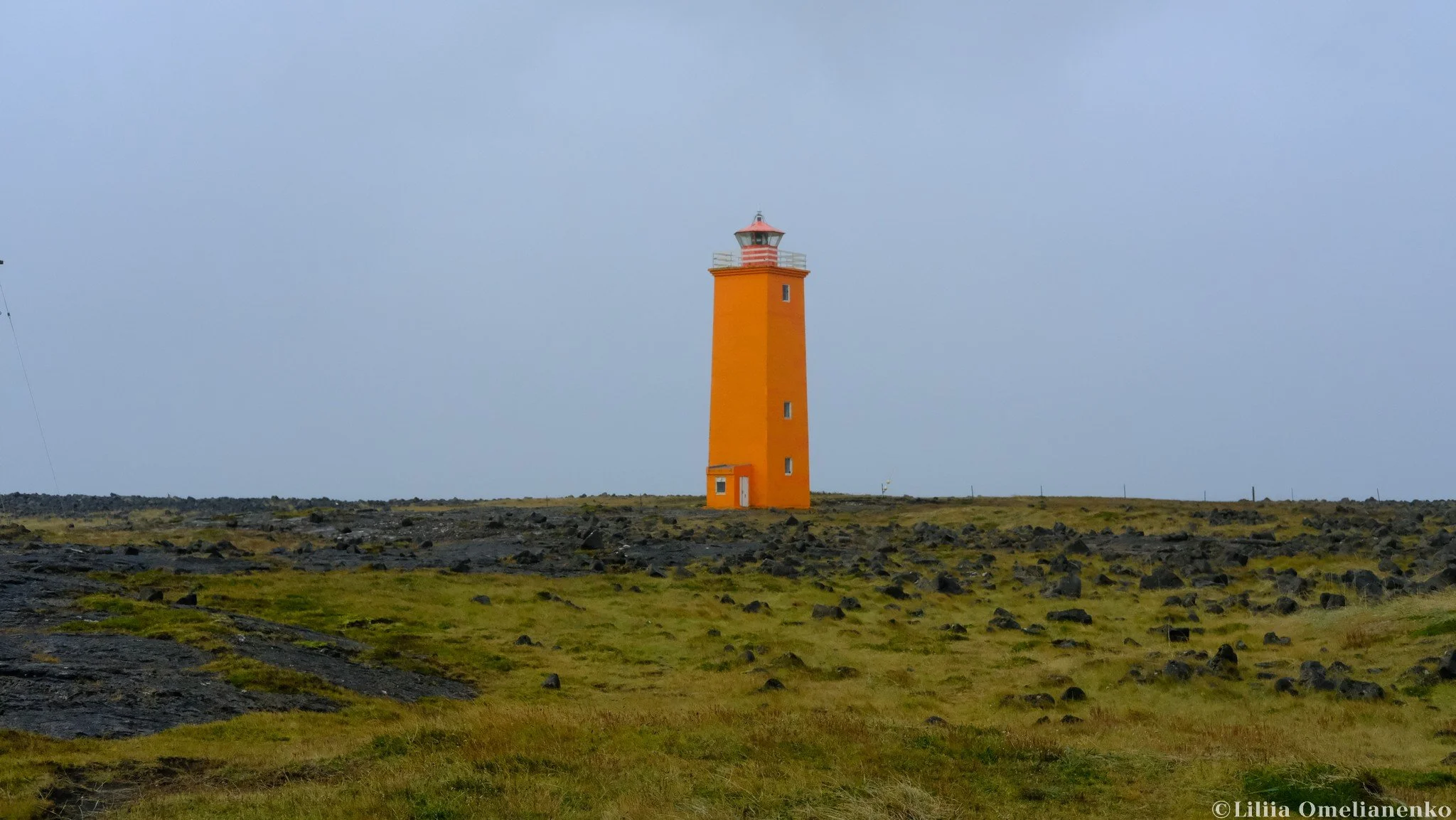 DSCF2746.jpg
