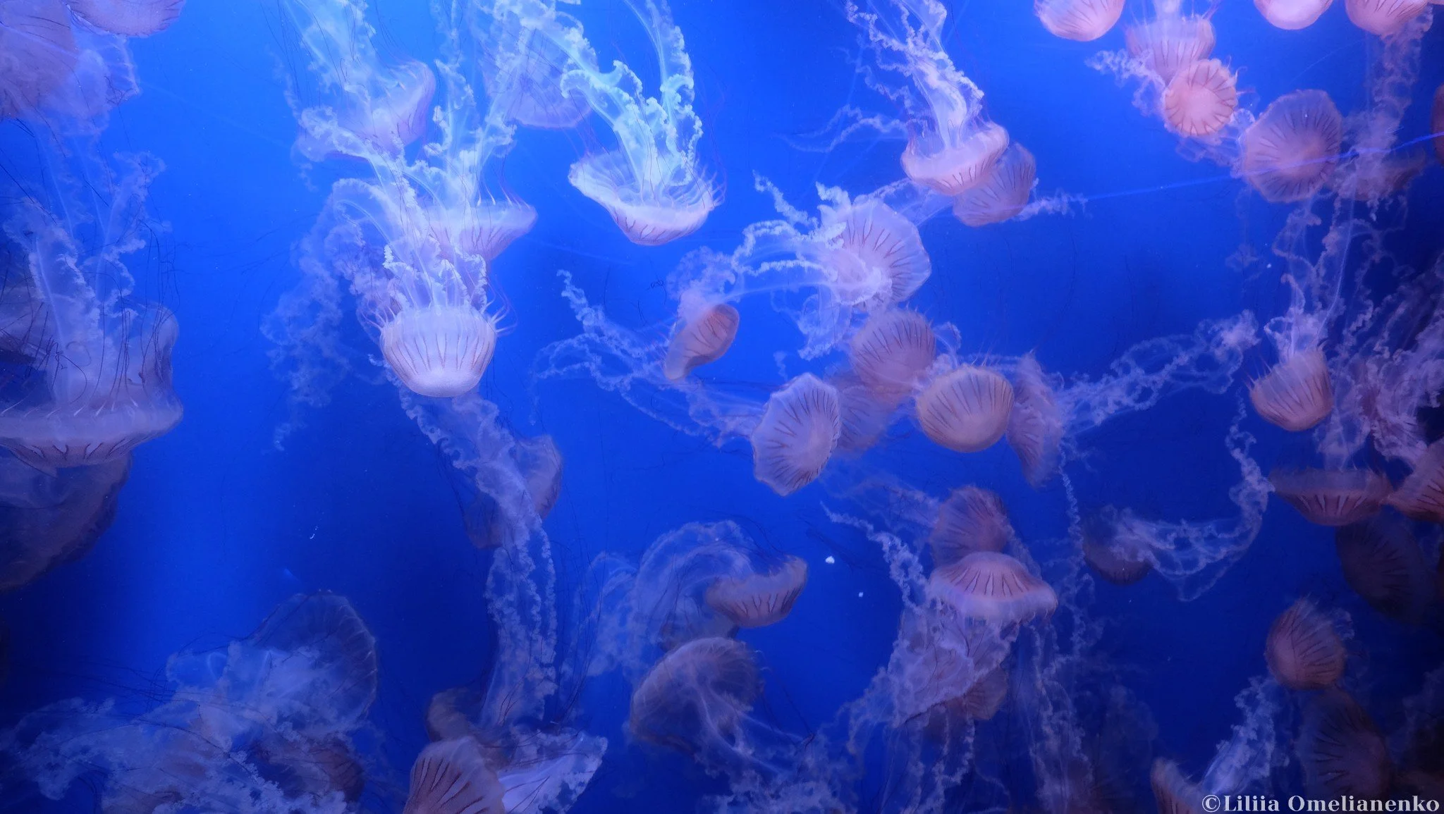 DSCF1743.jpg