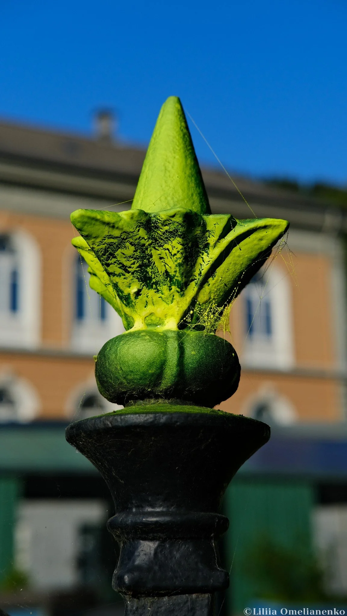 DSCF5668.jpg