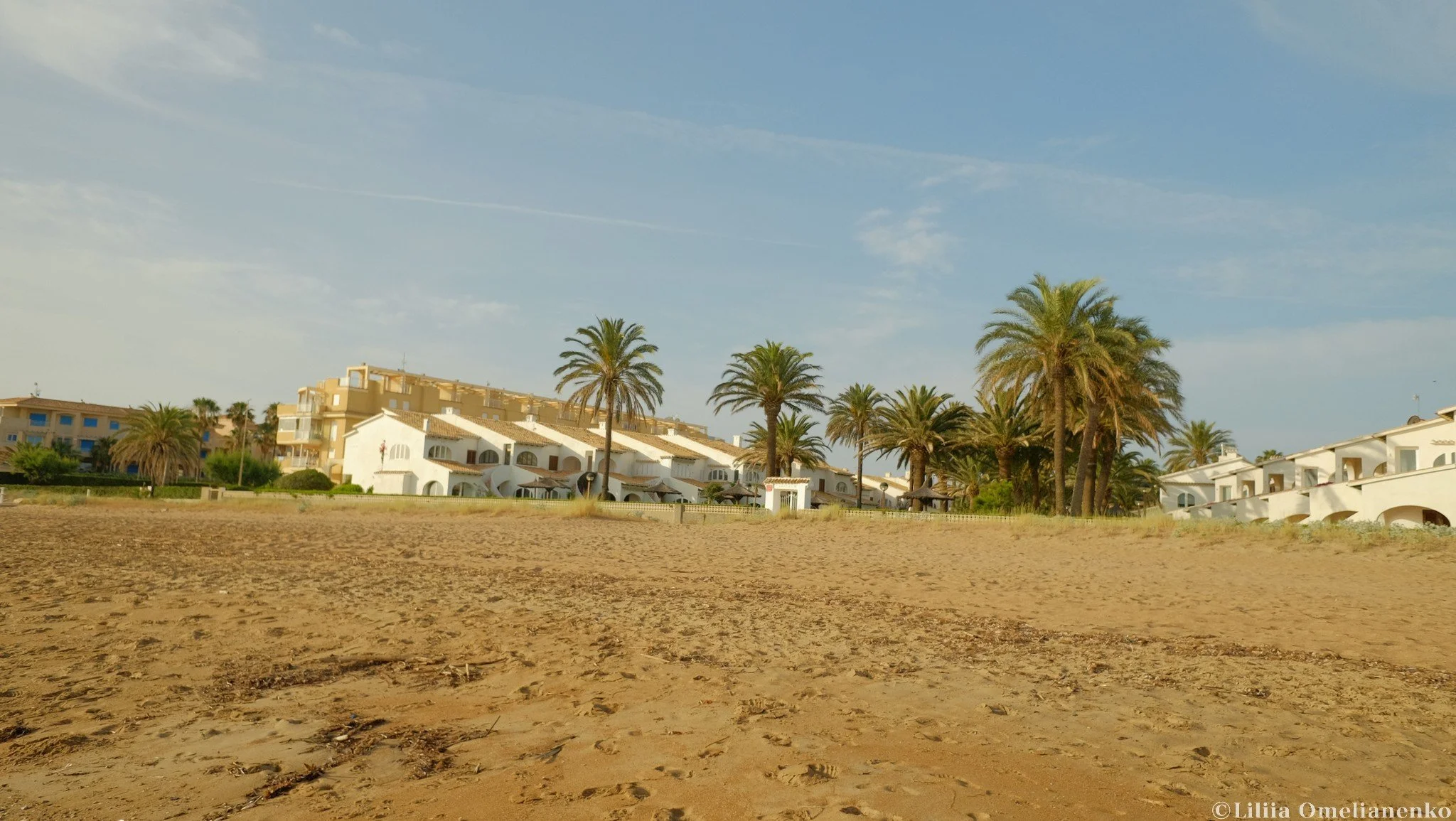 DSCF1108.jpg