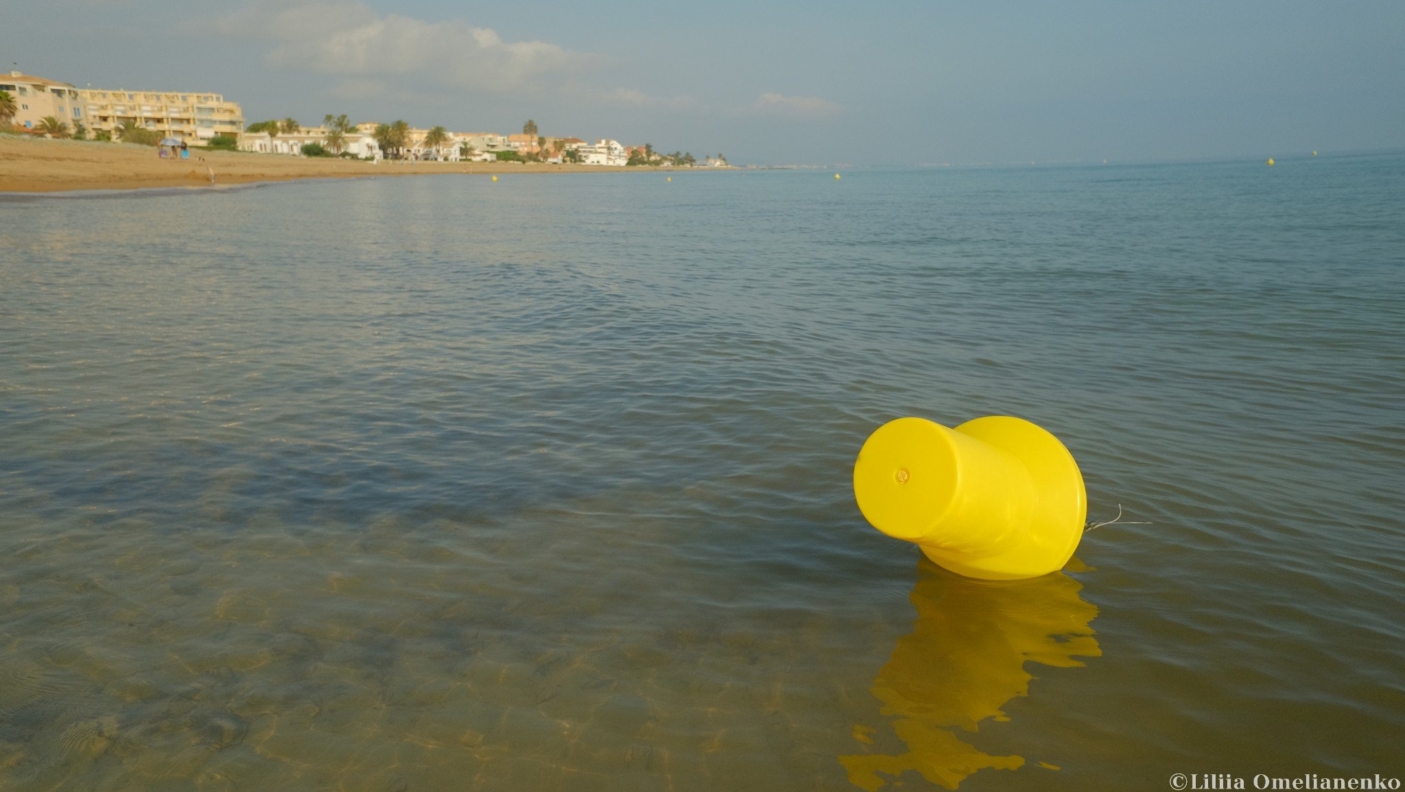 DSCF1451.jpg
