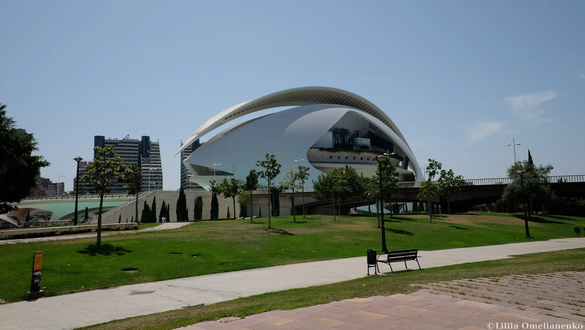 DSCF1634.jpg
