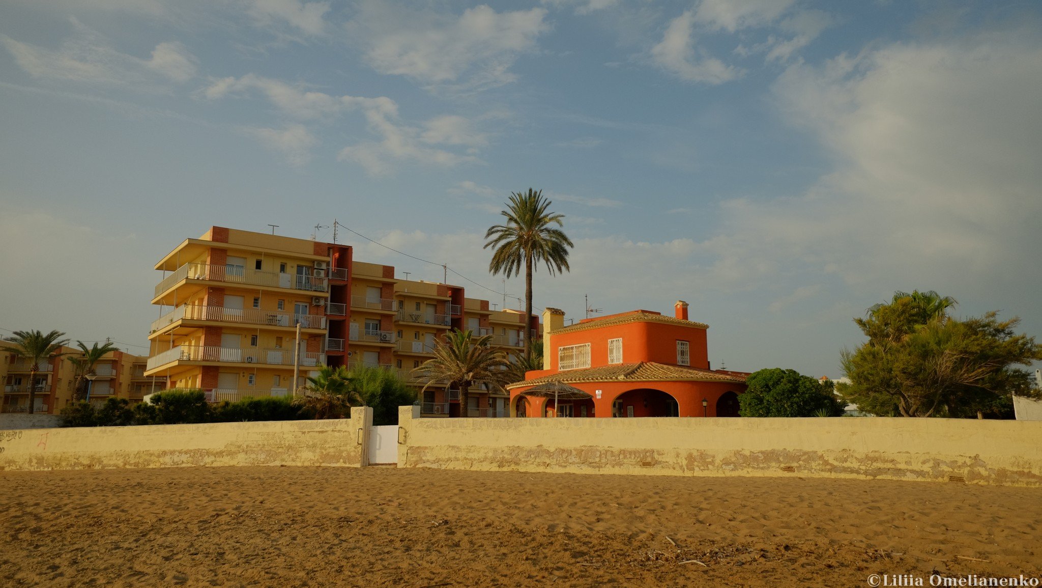 DSCF1217.jpg