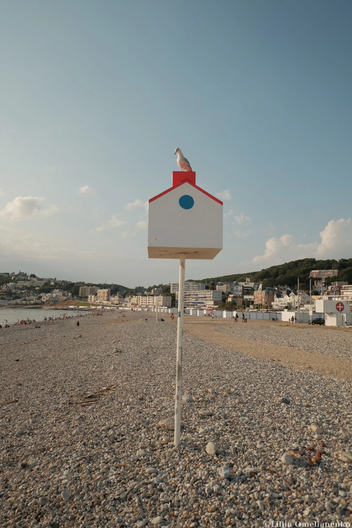 DSCF7681.jpg