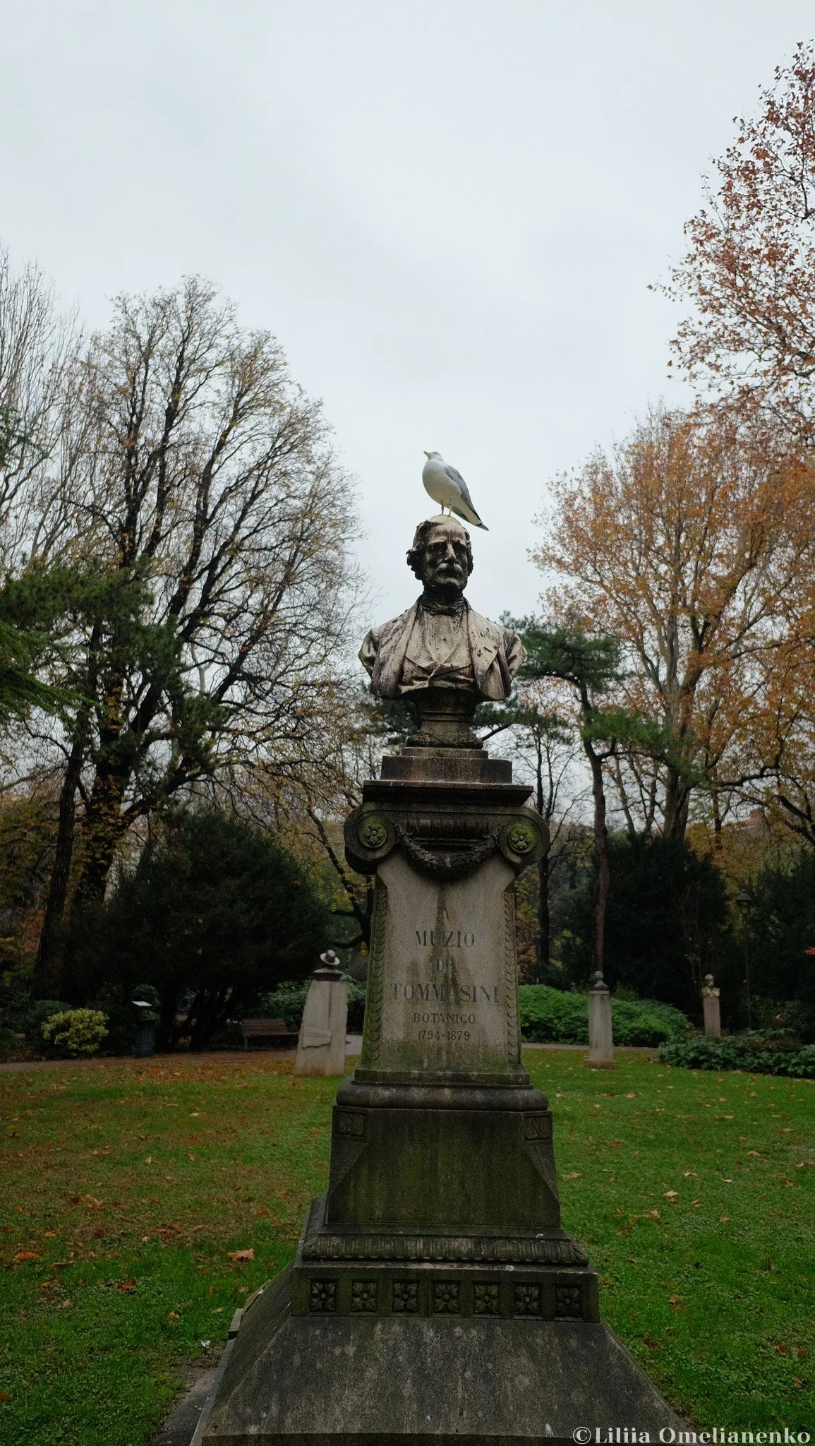 DSCF3691.jpg