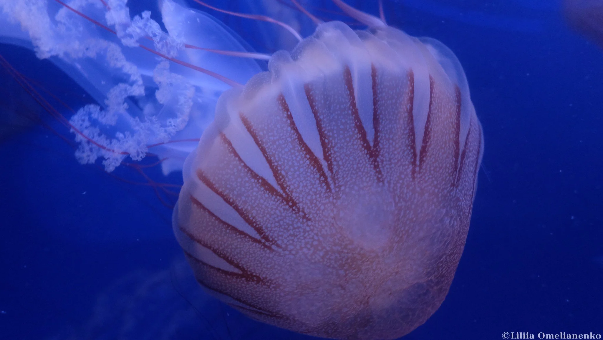 DSCF1755.jpg