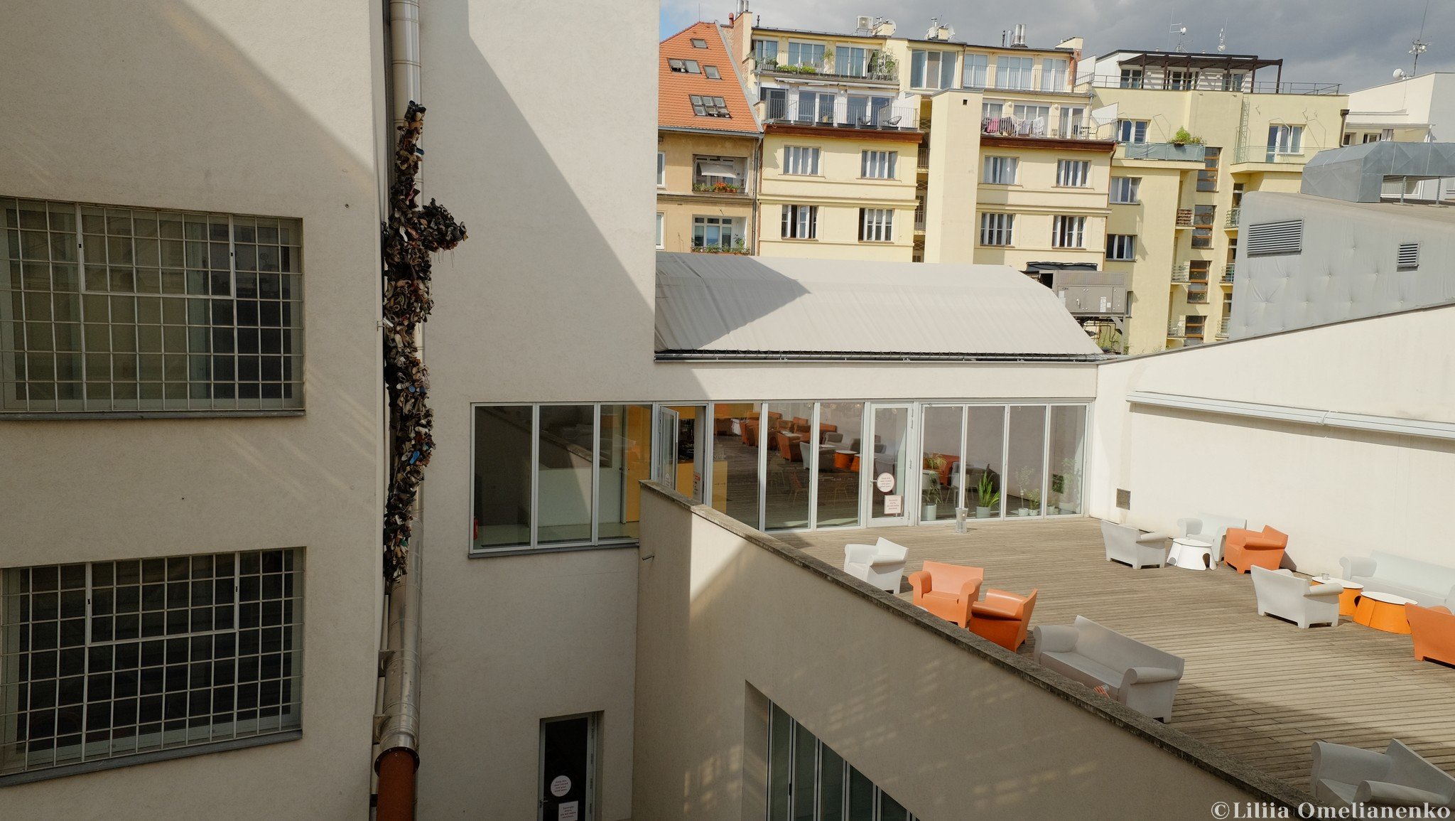 DSCF5180.jpg