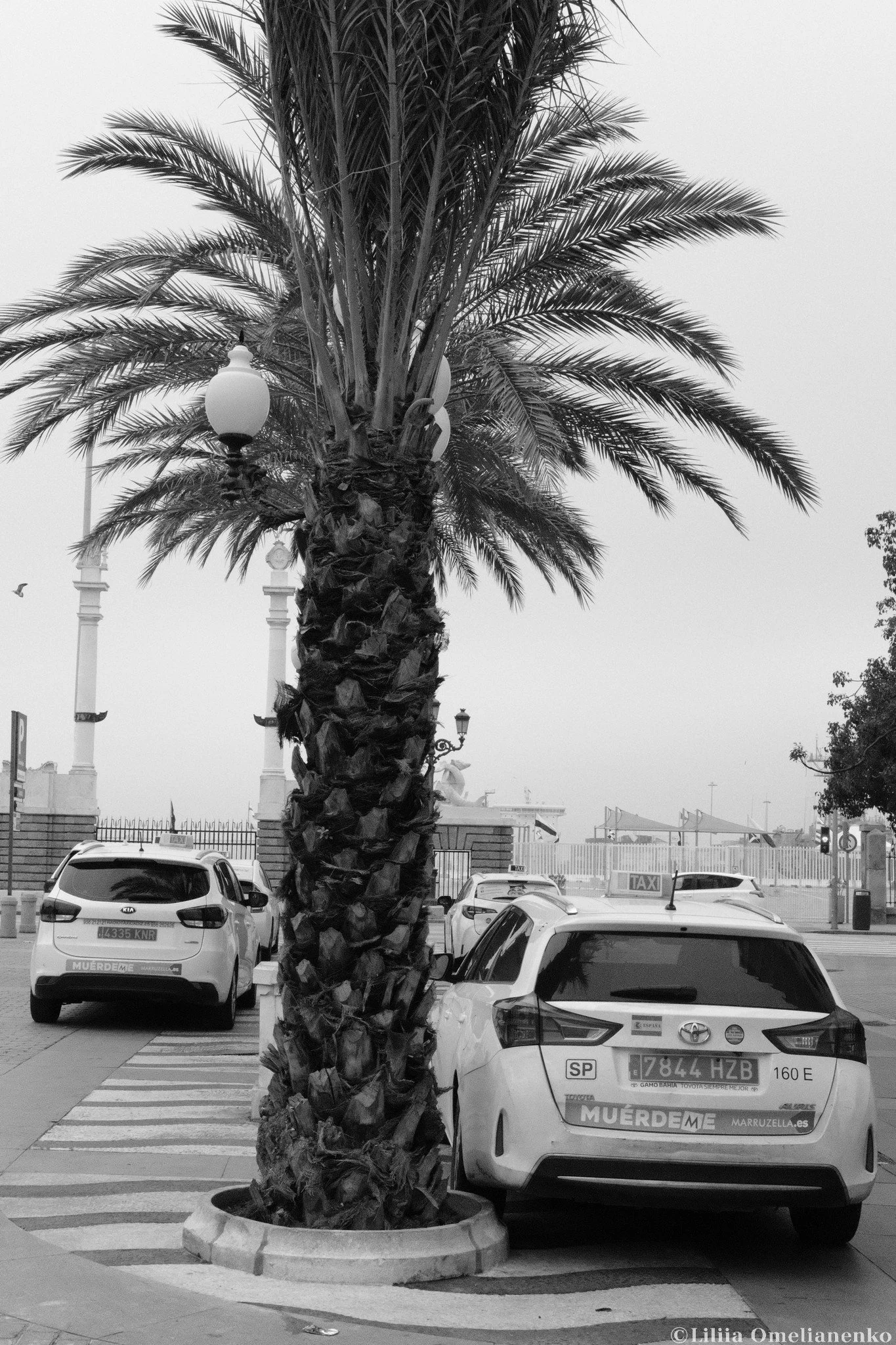 DSCF8968.jpg