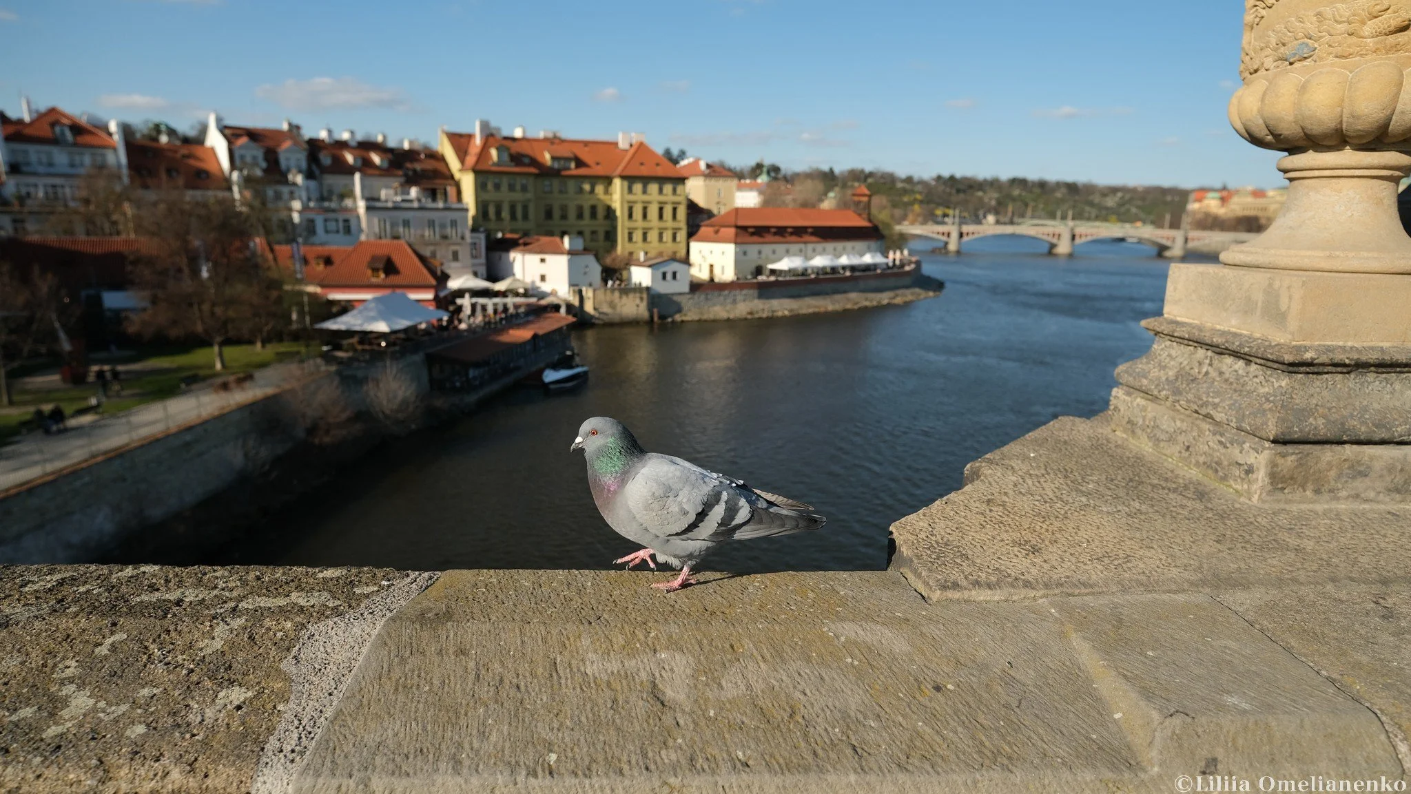 DSCF4244.jpg