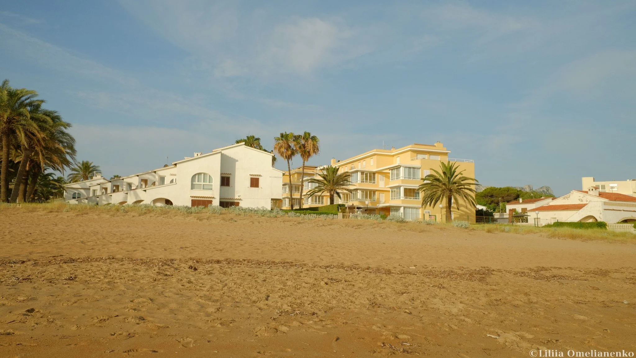 DSCF1109.jpg