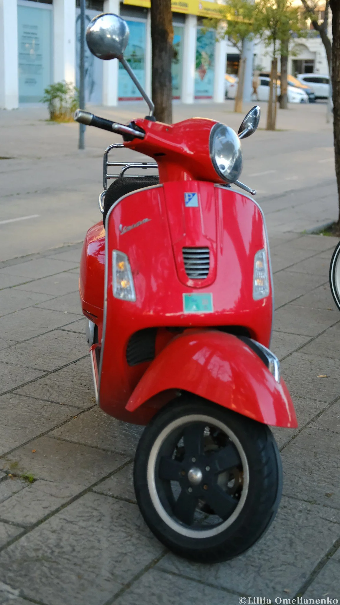 DSCF0702.jpg