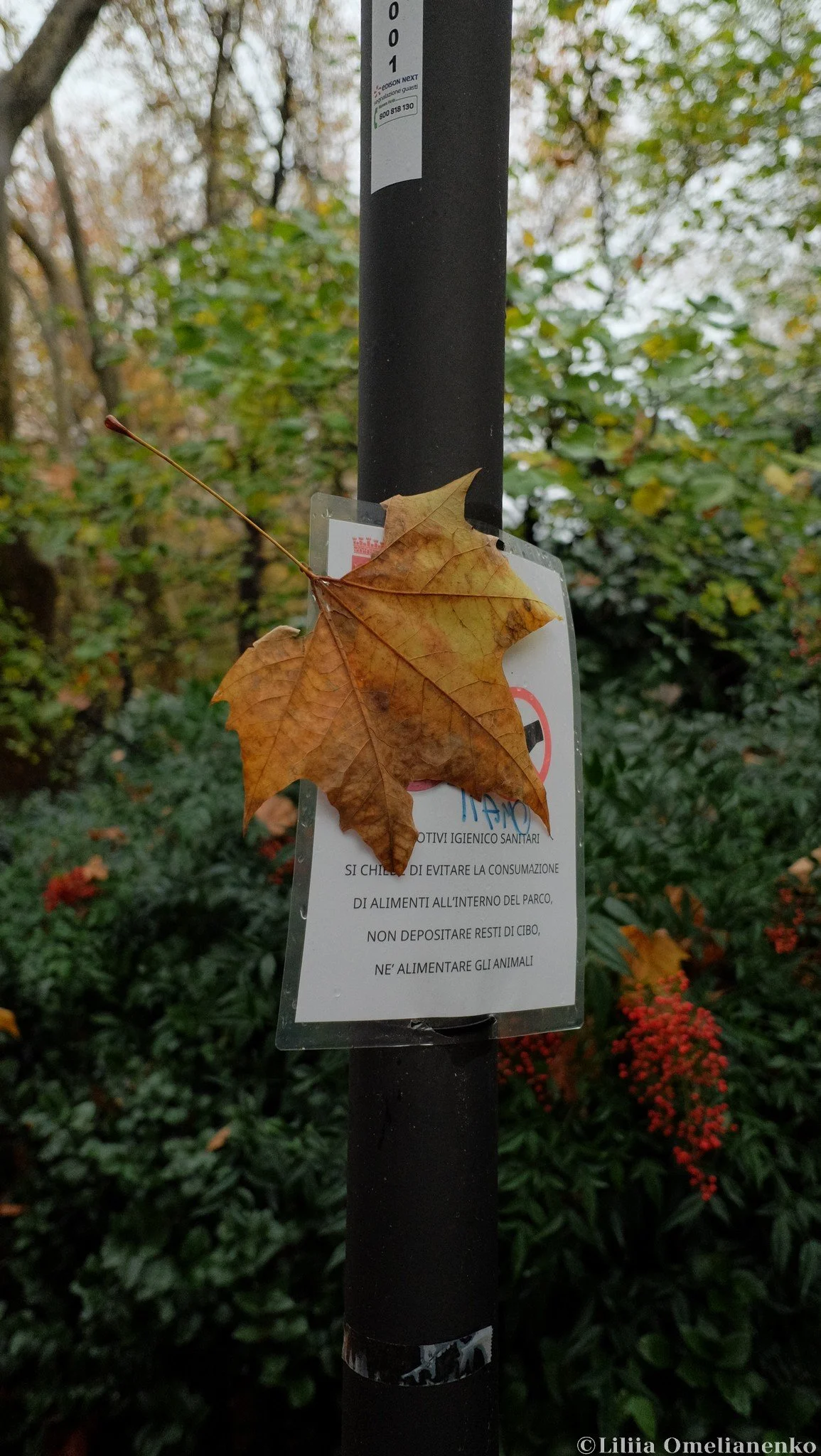 DSCF3679.jpg