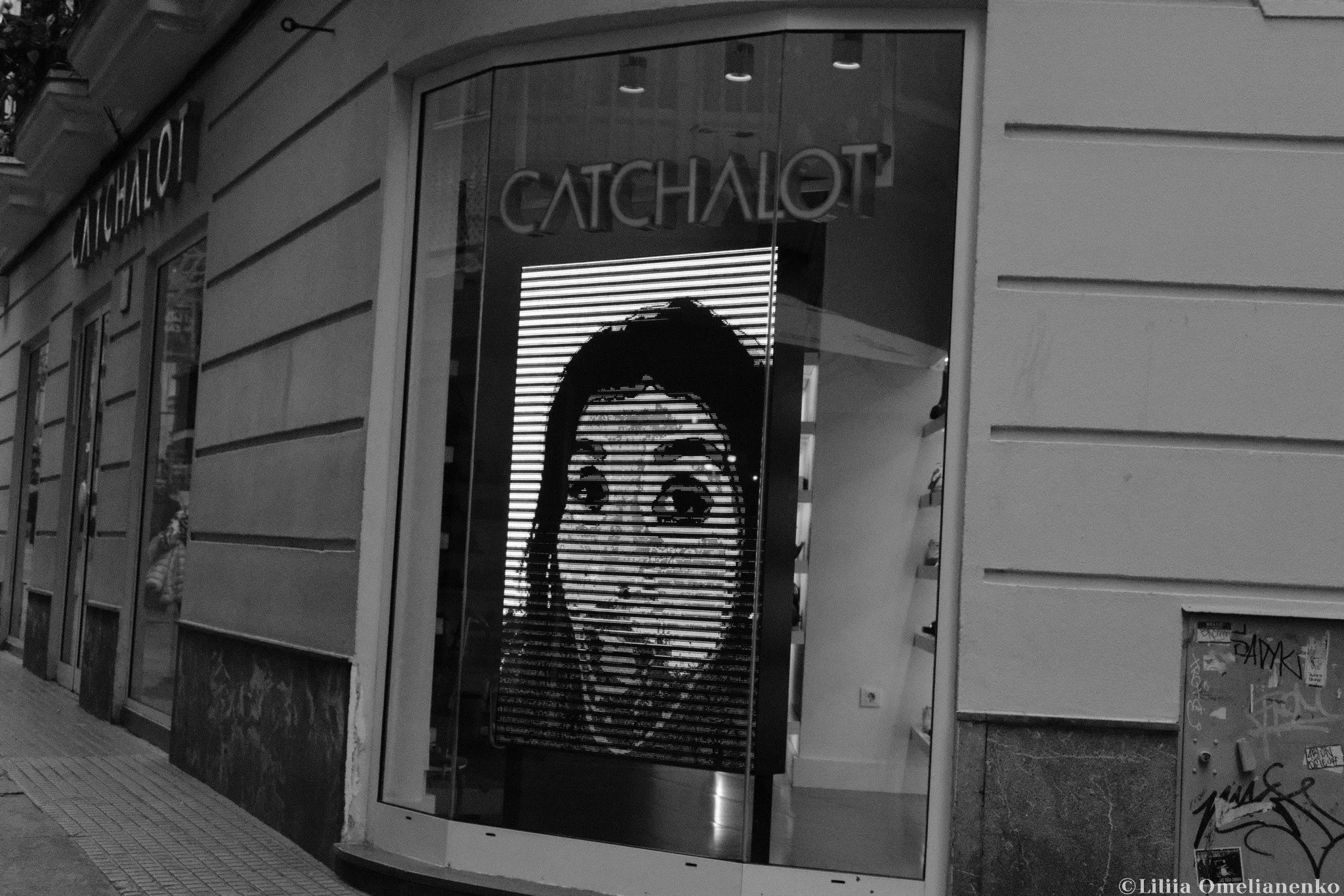 DSCF8988.jpg
