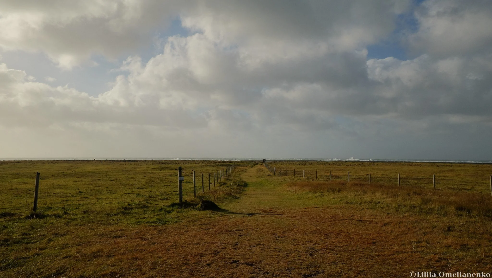 DSCF3637.jpg