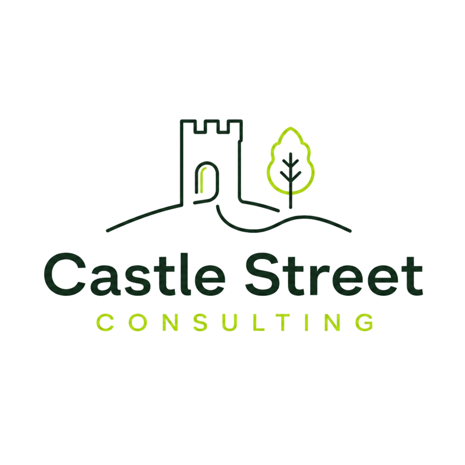 Castle Street Consulting