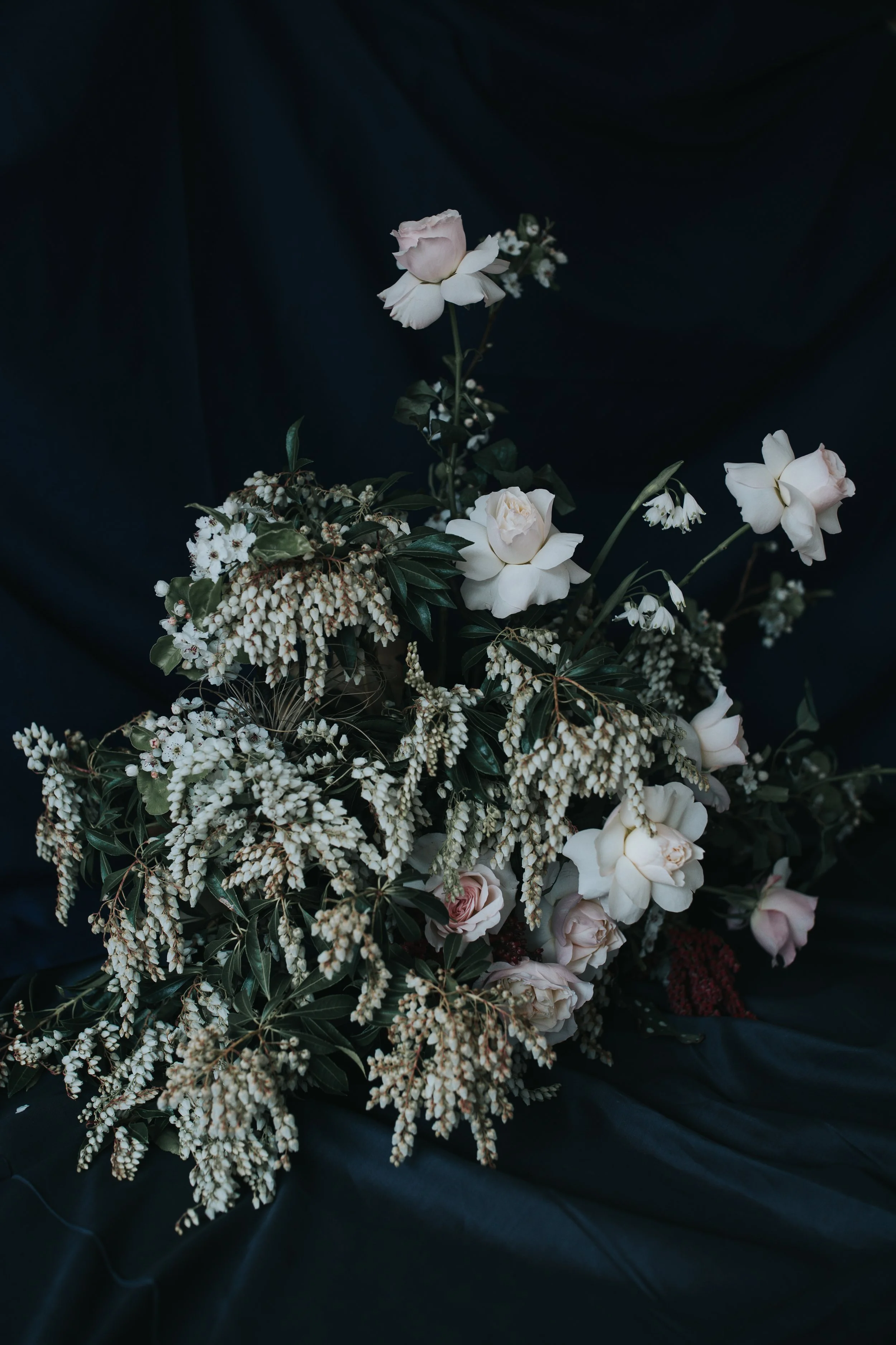 WILD RENATA-Lisa Jane Photography-074.jpg