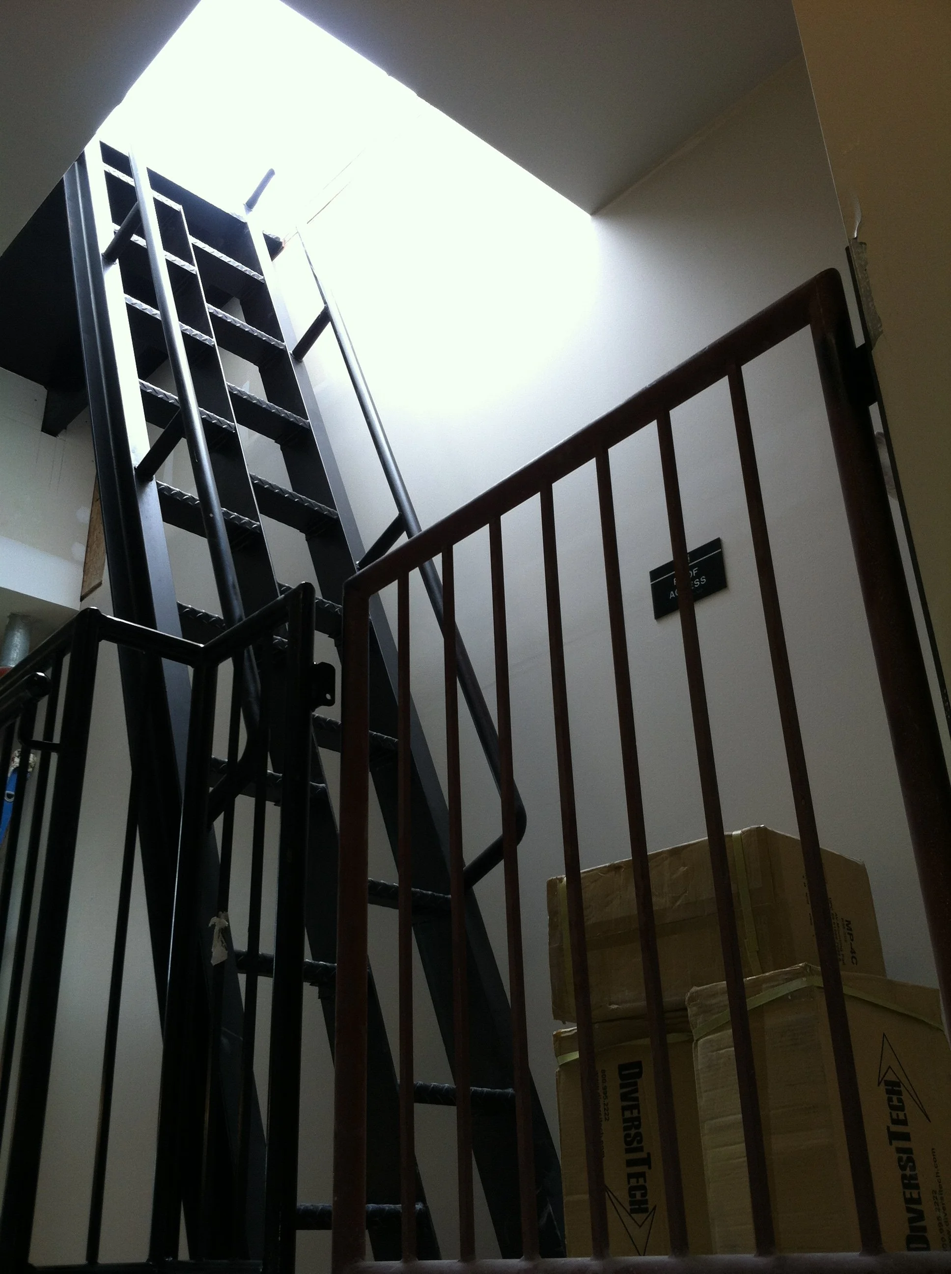 Alternating Tread Ladder.JPG