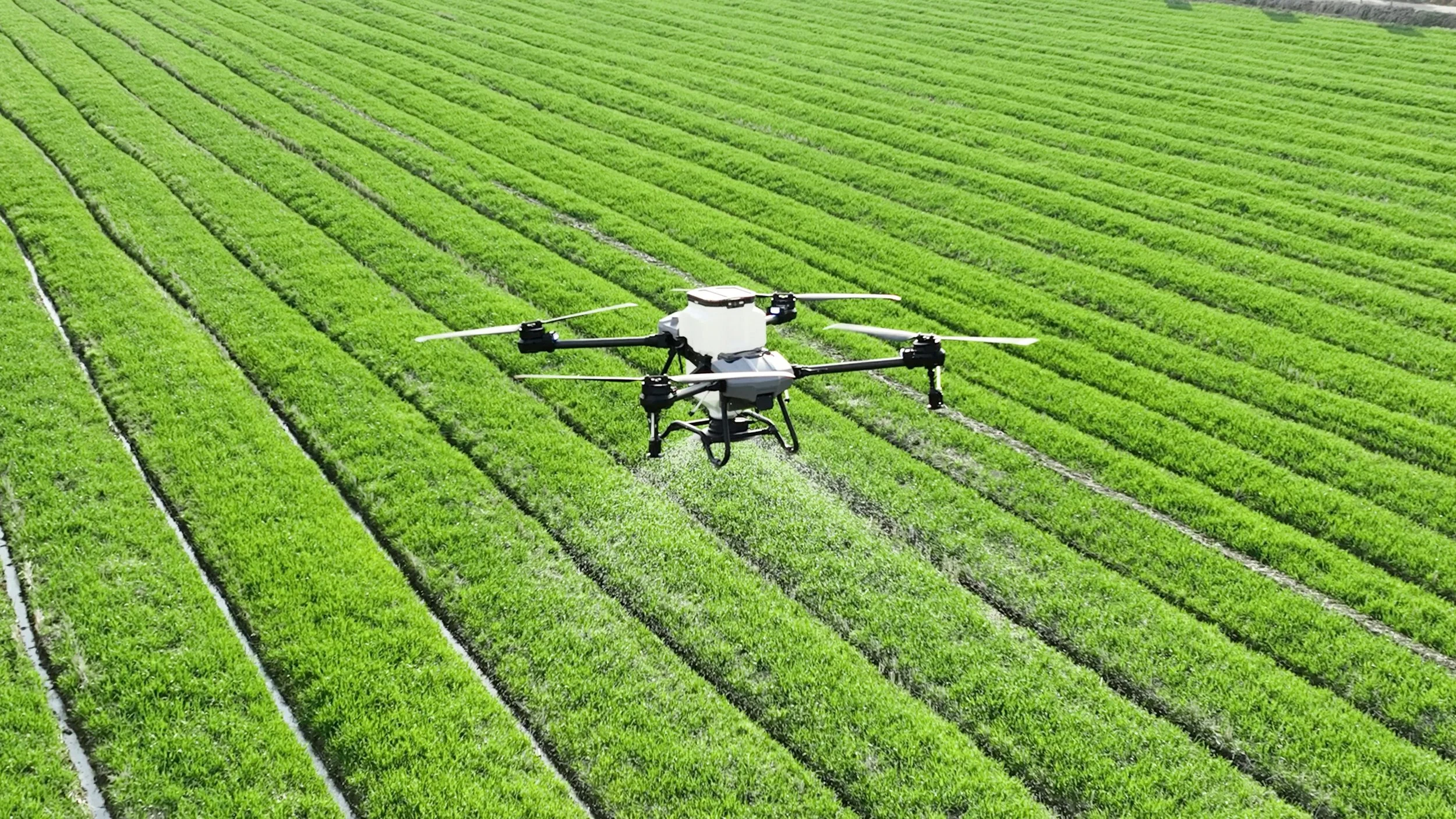 A drone flying over a vast green agricultural field with organized rows of crops.