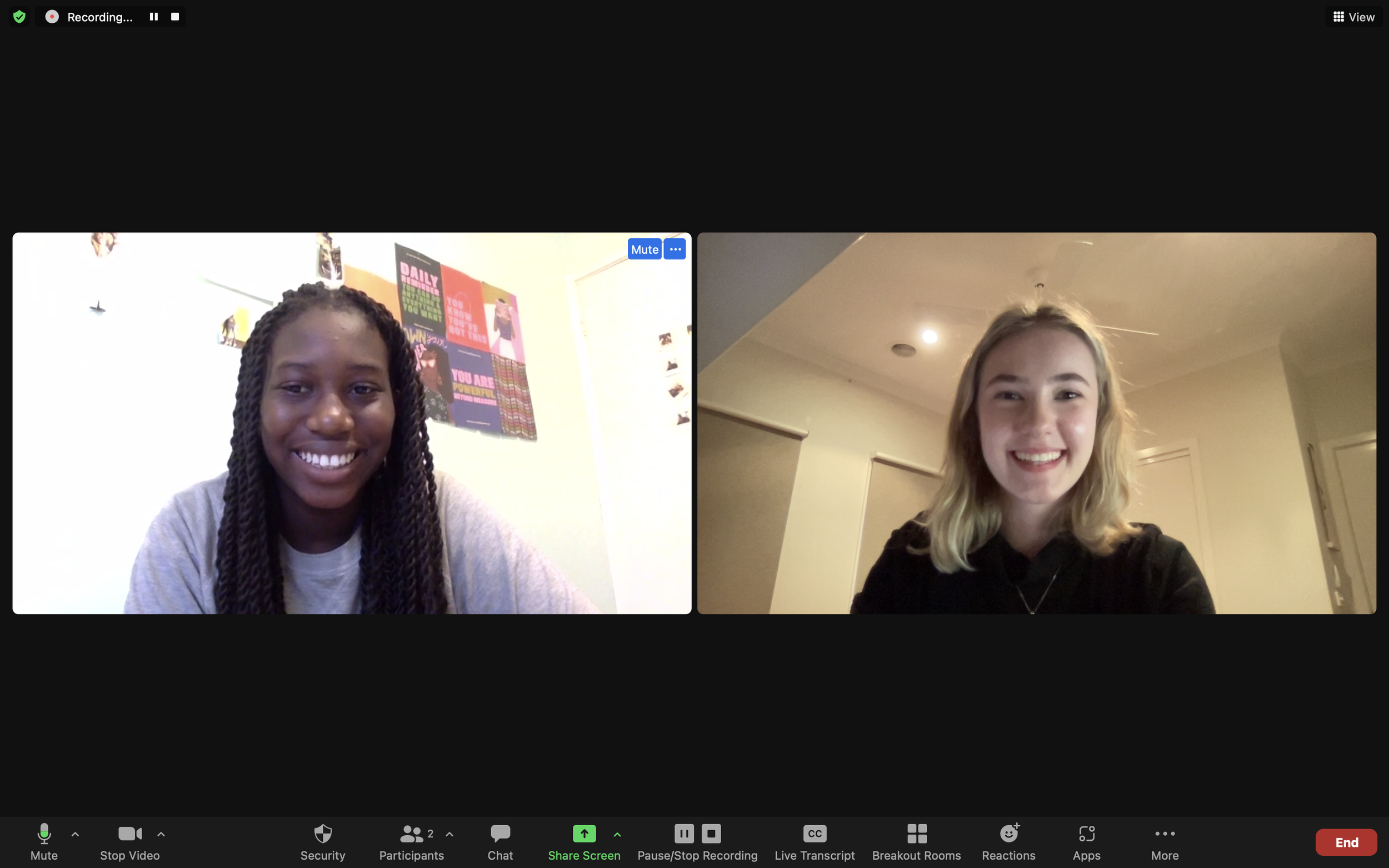 A mentoring session on screen