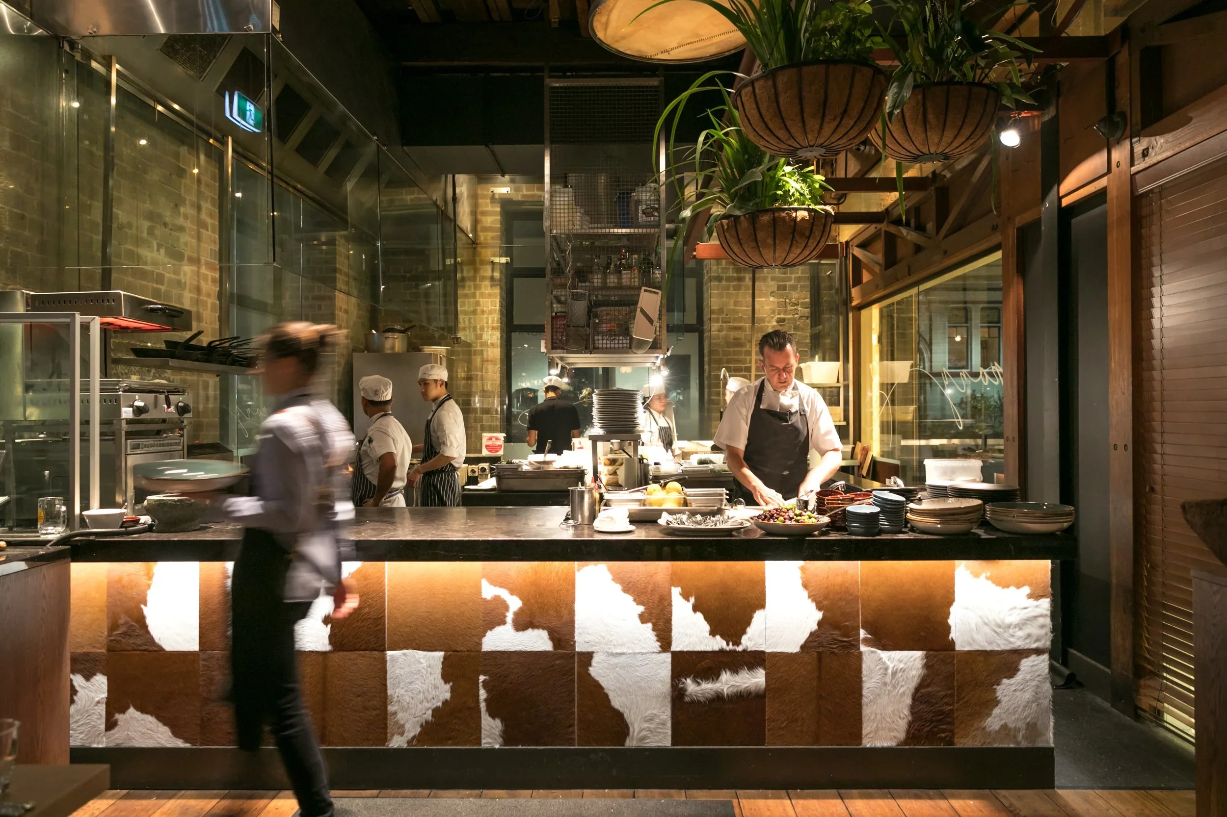 A busy restaurant kitchen with chefs preparing food, hanging potted plants, and a view through a glass wall to the dining area.