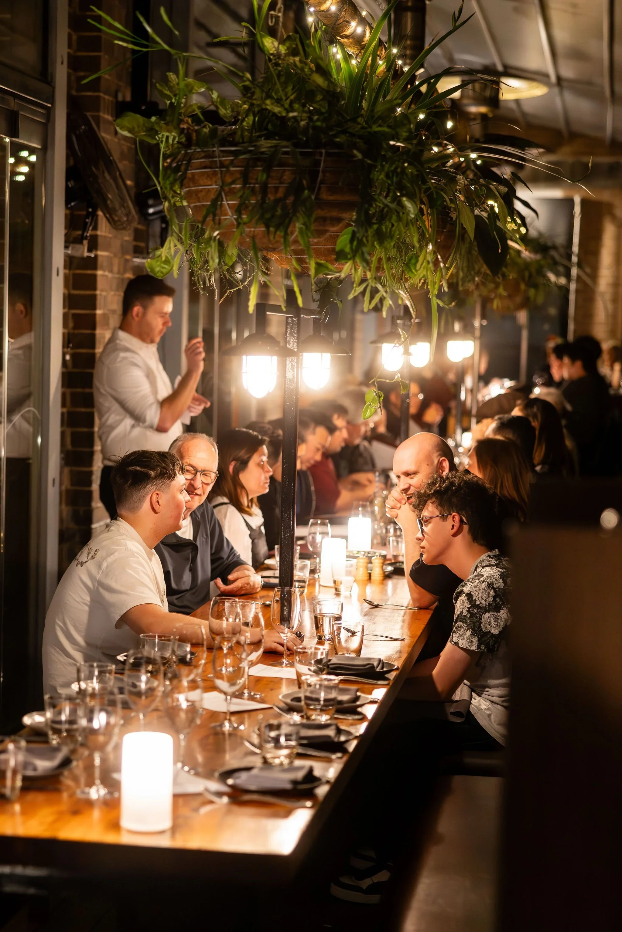 A group of people dining at a restaurant with a long wooden table, illuminated by hanging lights and decorated with a large hanging plant with string lights. The scene is cozy and lively, with guests engaged in conversation and a waiter serving. The restaurant has a rustic brick wall background and large windows.