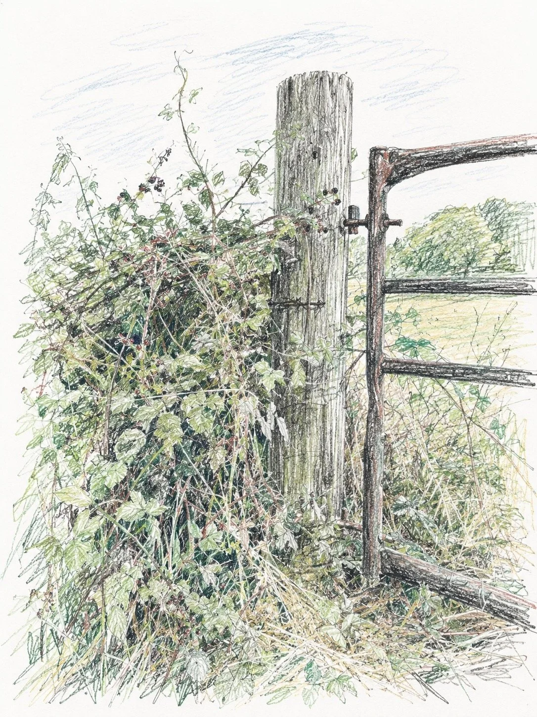 Gates have long symbolised choice, change and crossing over. An open gate means possibility, a closed one -mystery. Every gate asks - what lies beyond?