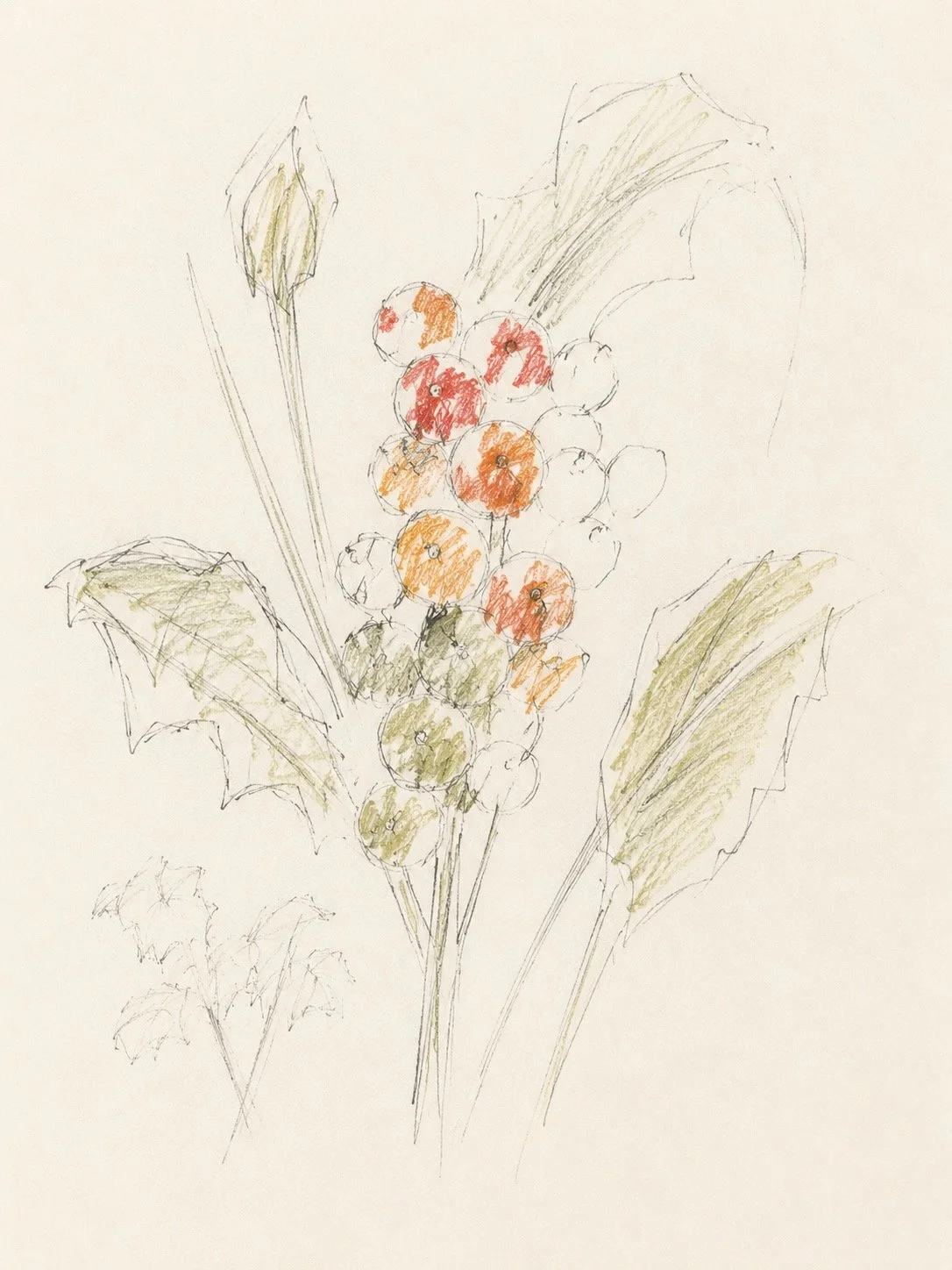Lords and Ladies - despite its beauty and striking, colourful berries, every part of Lords and Ladies is poisonous. It is one of Britain's most striking woodland plants. 