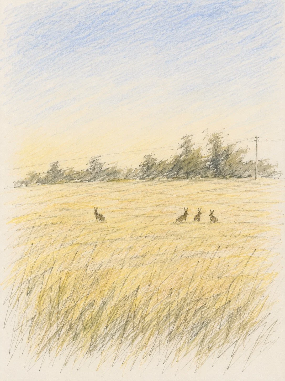 Four hares, almost hidden in the grass. Still shapes that appear once you start looking. Wildlife rewards a slower eye. 