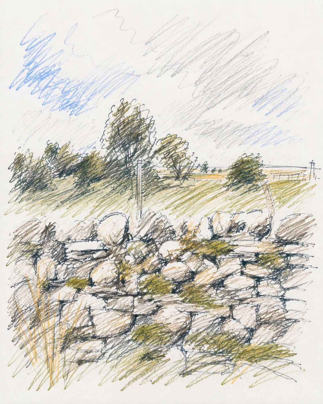 Dry stone walls are held together by gravity, not mortar. As the ground shifts, the stones can move rather than crack. a well built wall can quietly settle itself for centuries. 