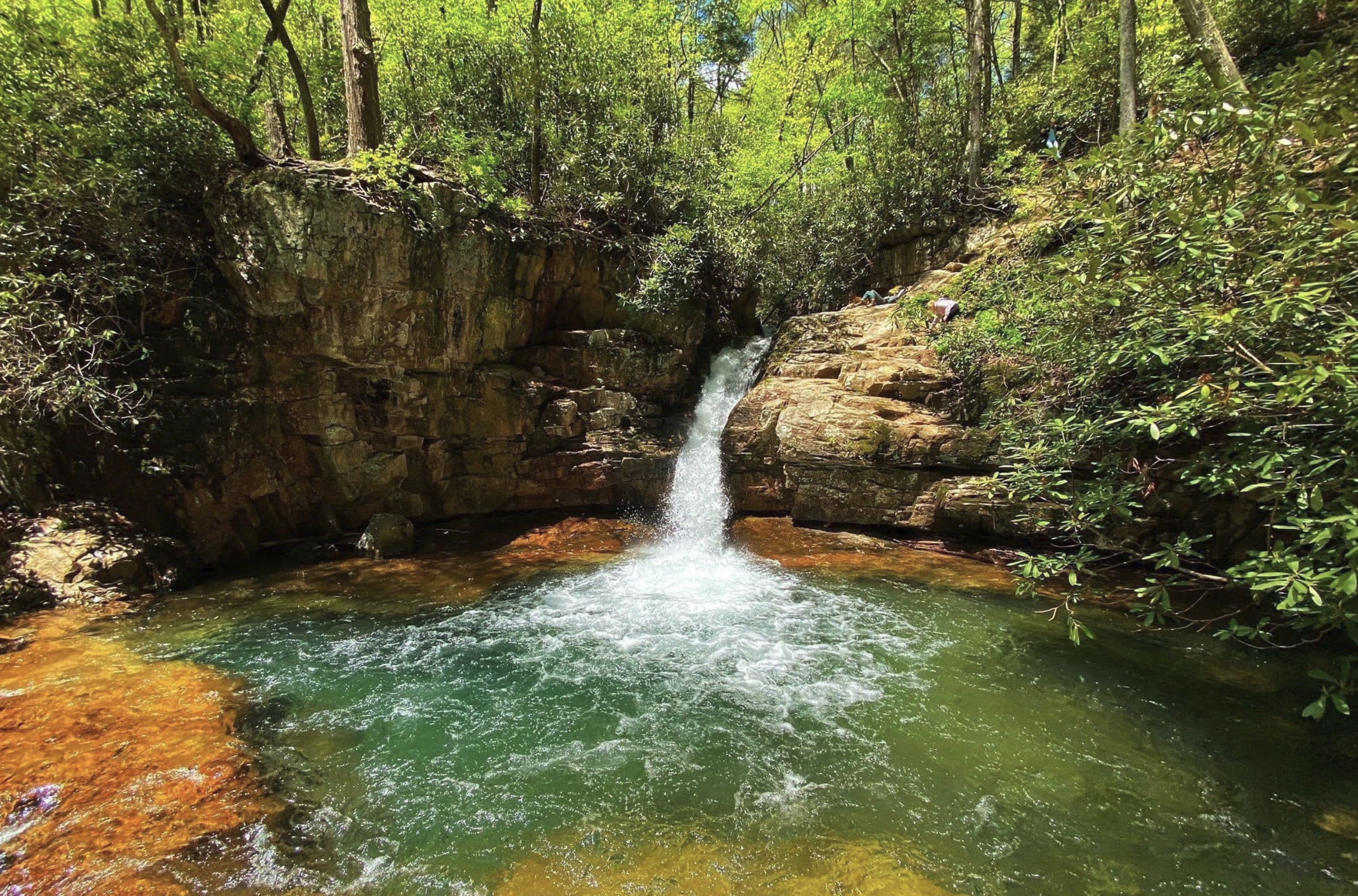 A small waterfall flowing into a clear, greenish river surrounded by lush green trees and shrubs.