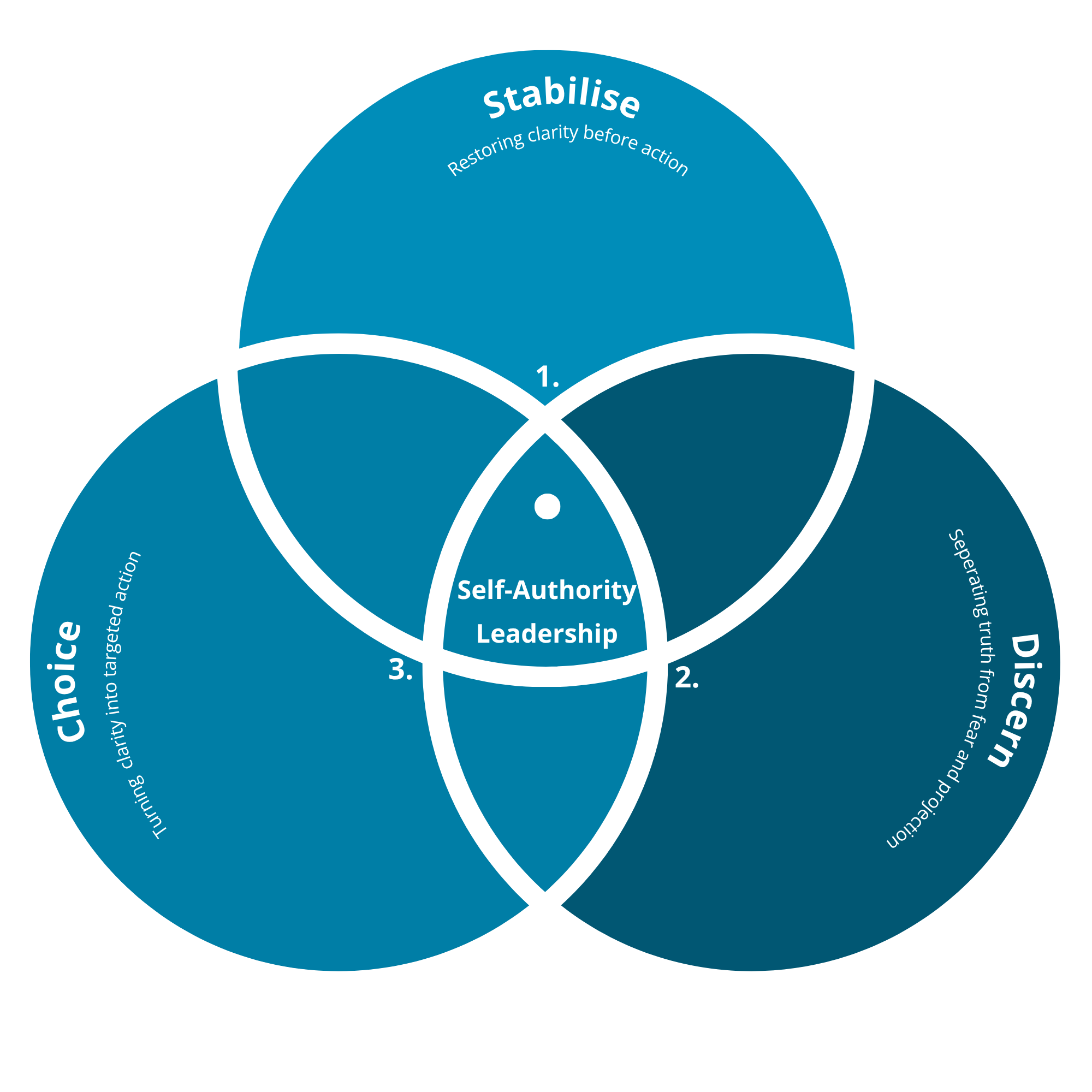 Diagram of a Venn diagram with overlapping circles labeled 'Character,' 'Self-Authenticity,' 'Discipline,' and 'Choice,' illustrating interconnected concepts.
