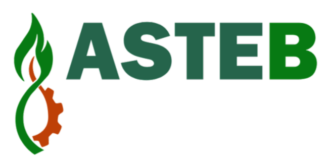 ASSOCIAZIONE SISTEMI TECNOLOGICI A BIOMASSA