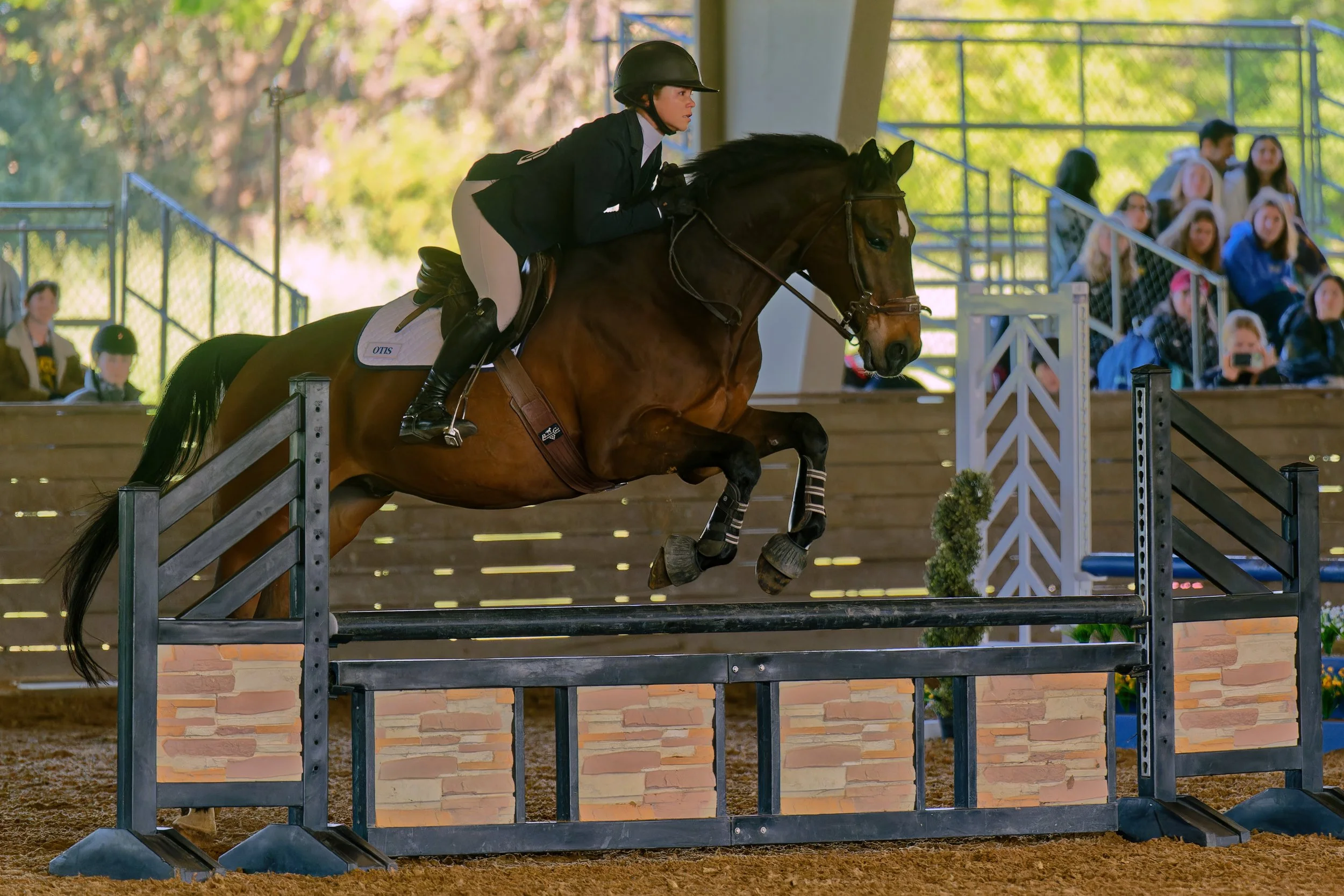 Action Sports :: Equestrian
