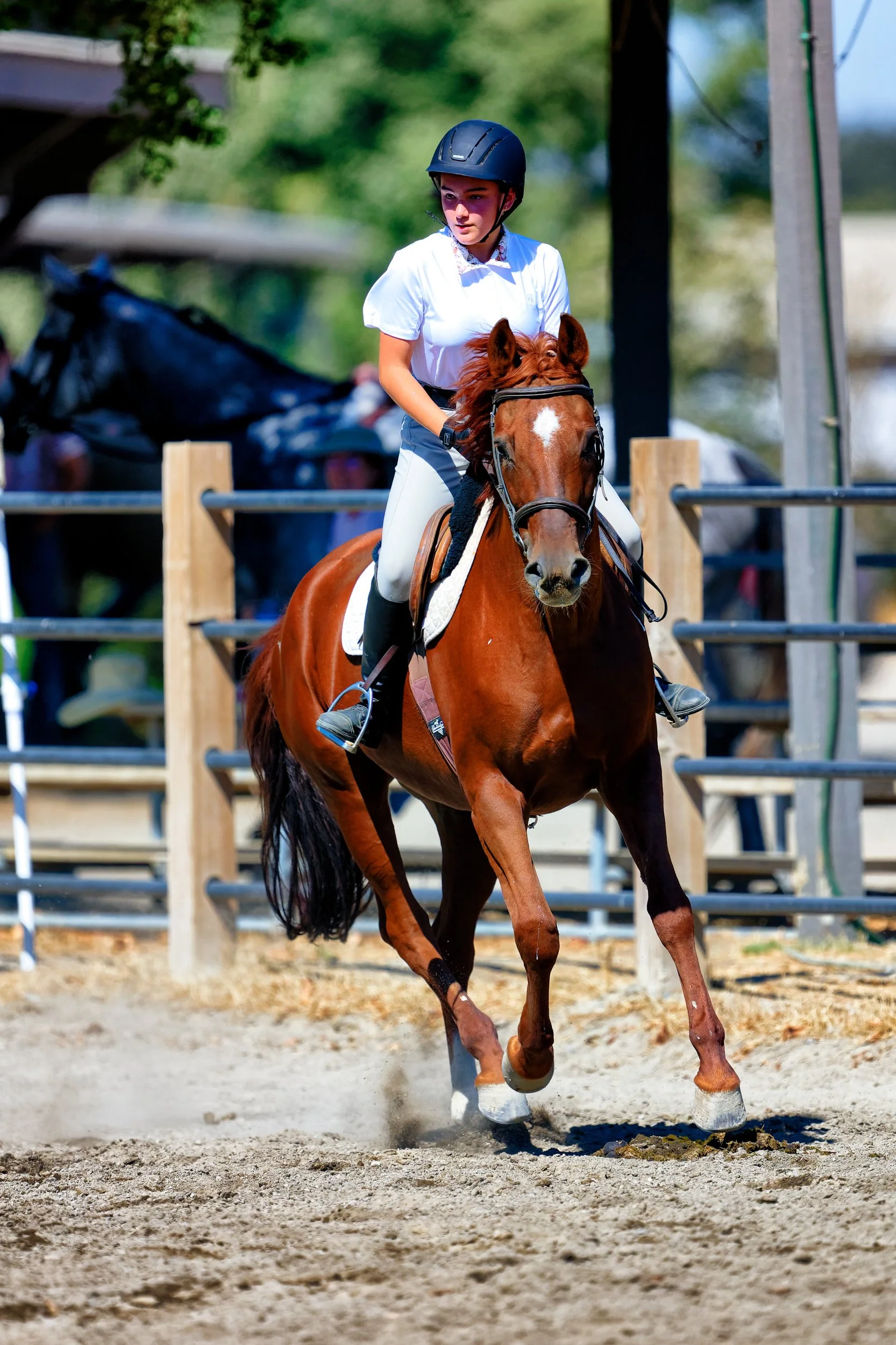 20240928 English Riding Competition Z9 0182_Nik.jpg