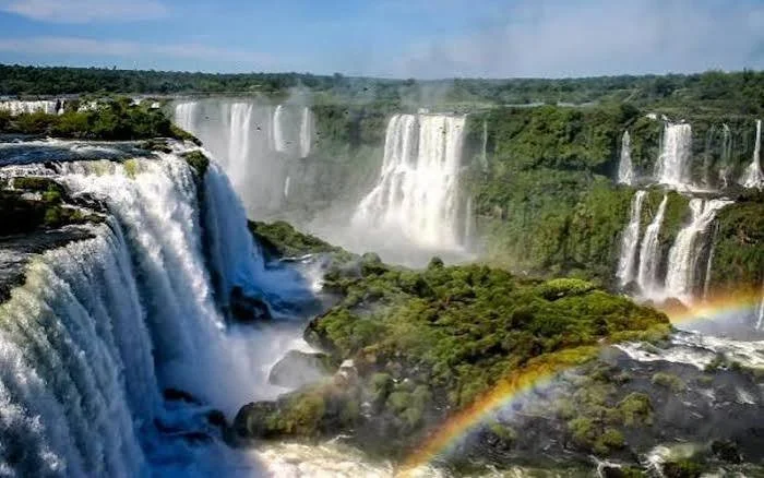 BAÑADOS Y SELVA